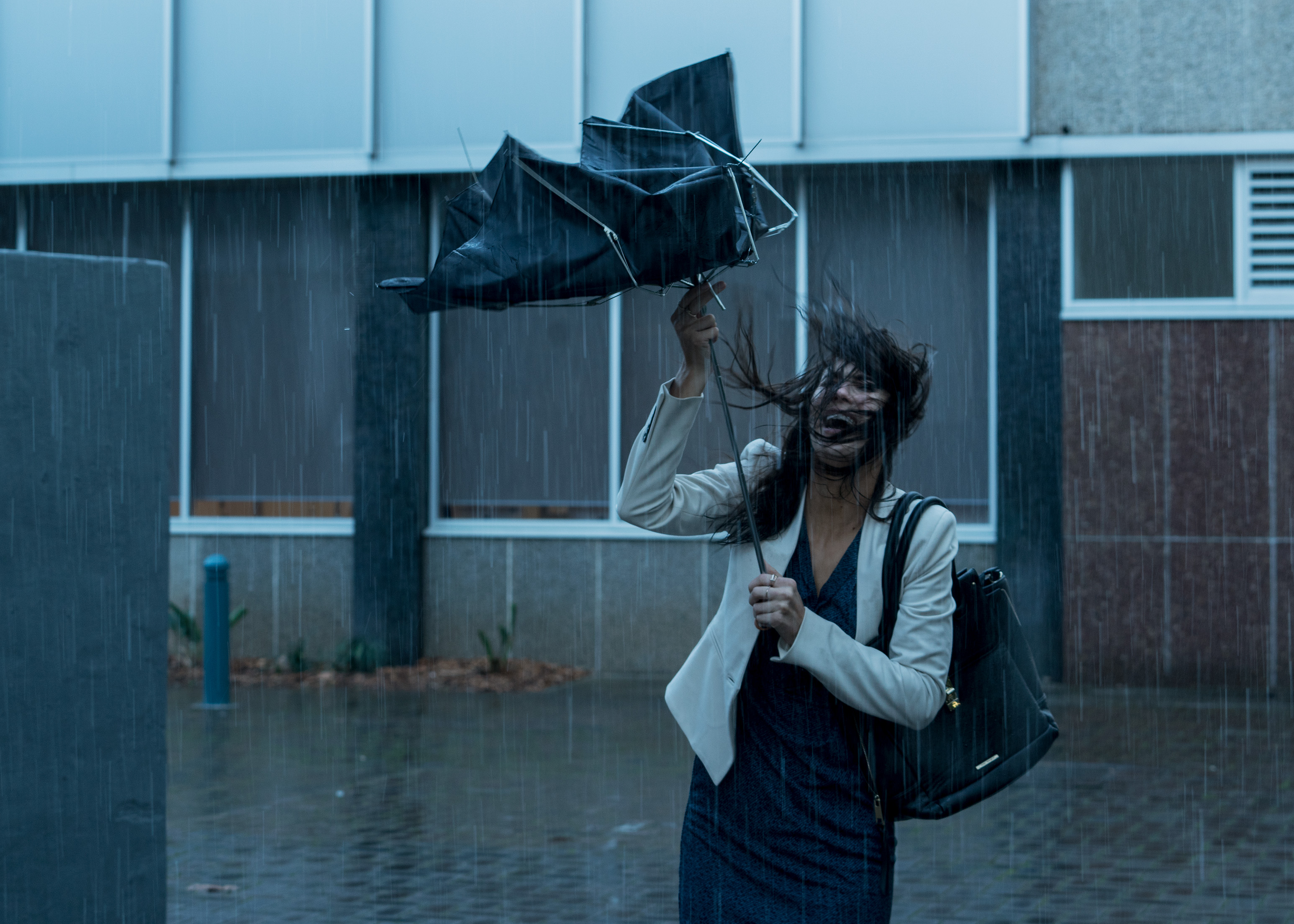 The Collective Force - Commissioned