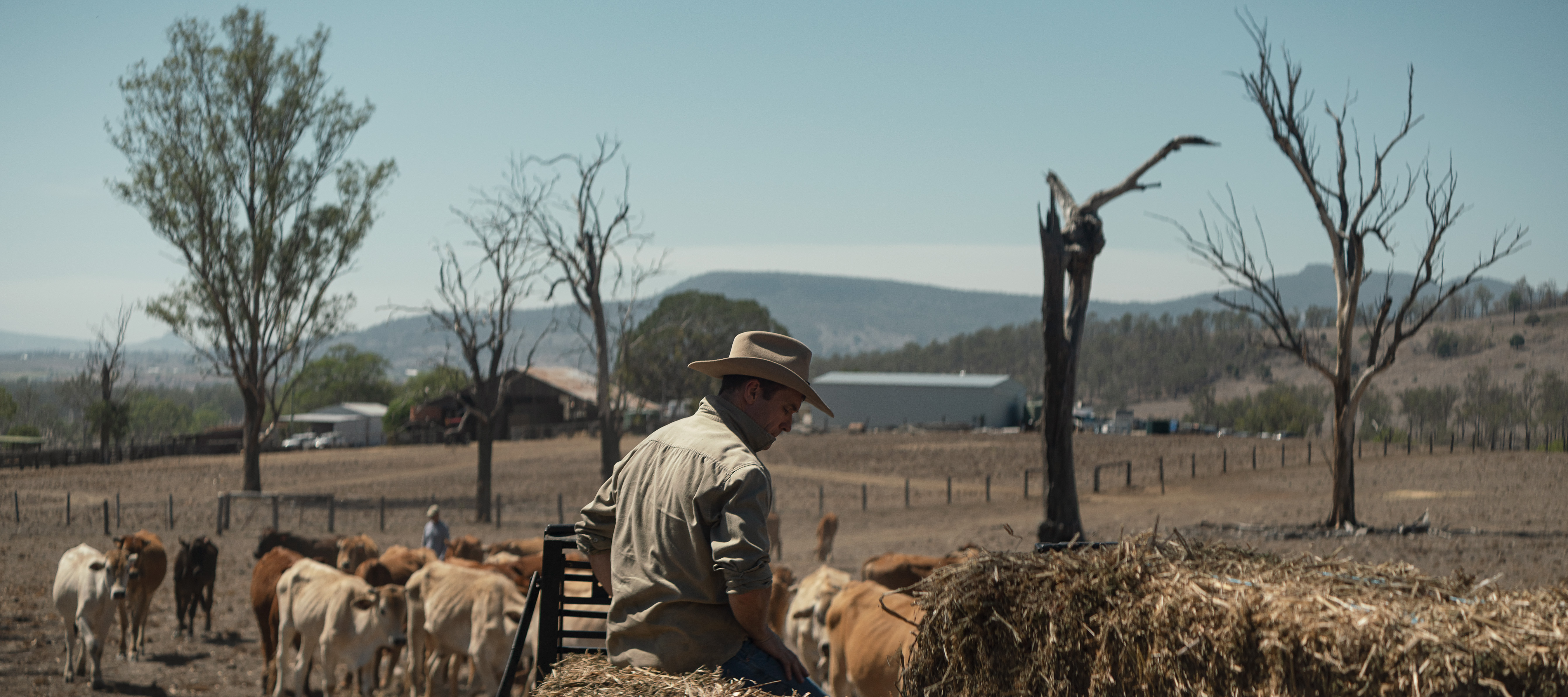 The Collective Force - Commissioned