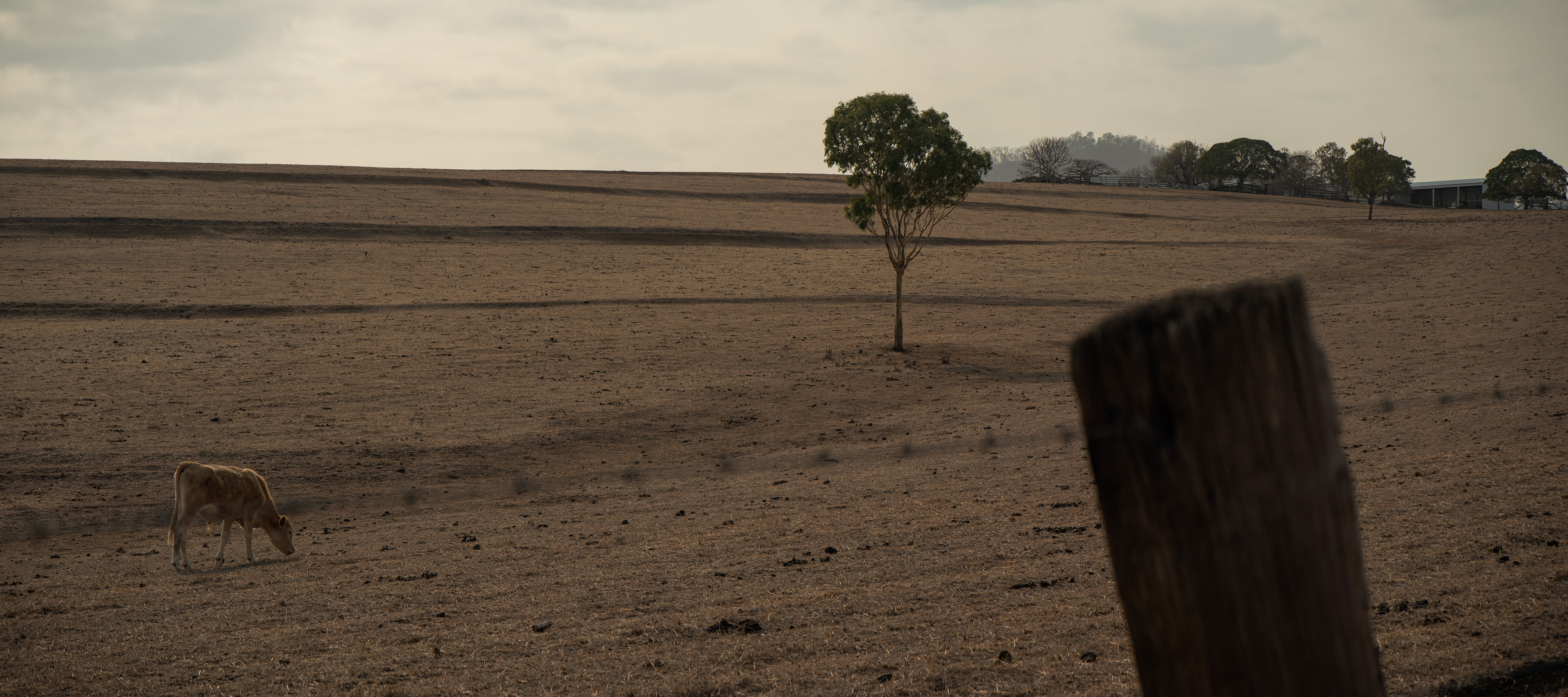 The Collective Force - Commissioned