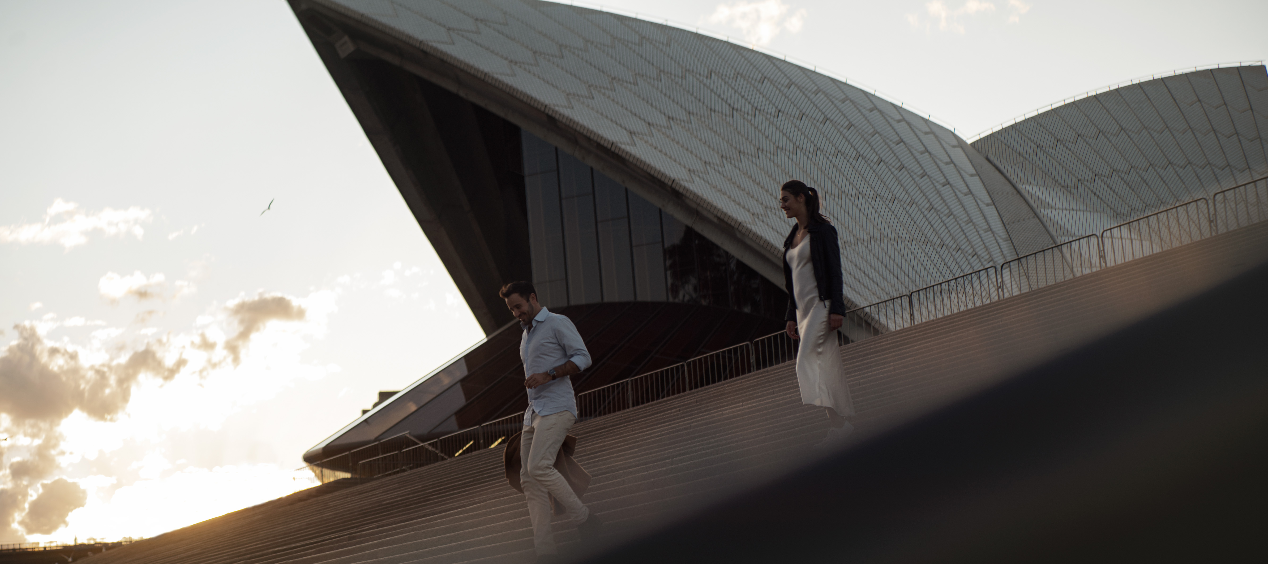 The Collective Force - Commissioned