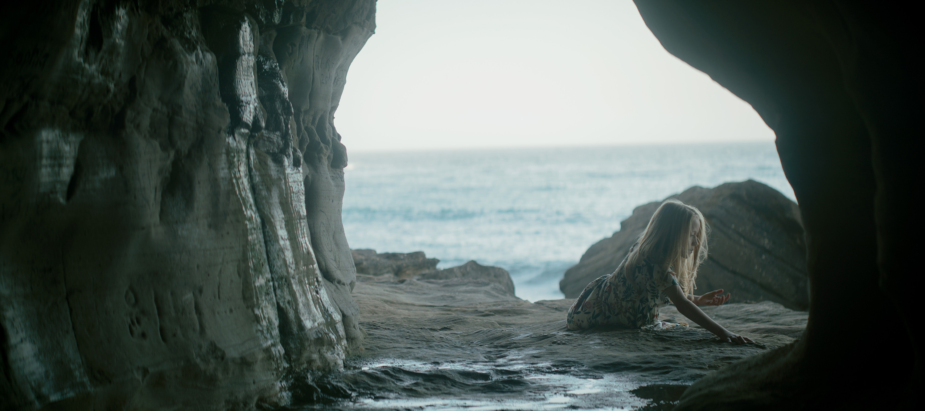 The Collective Force - Overview