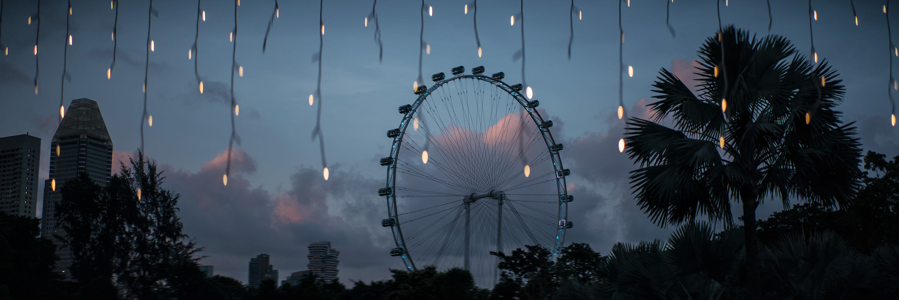 The Collective Force - Overview