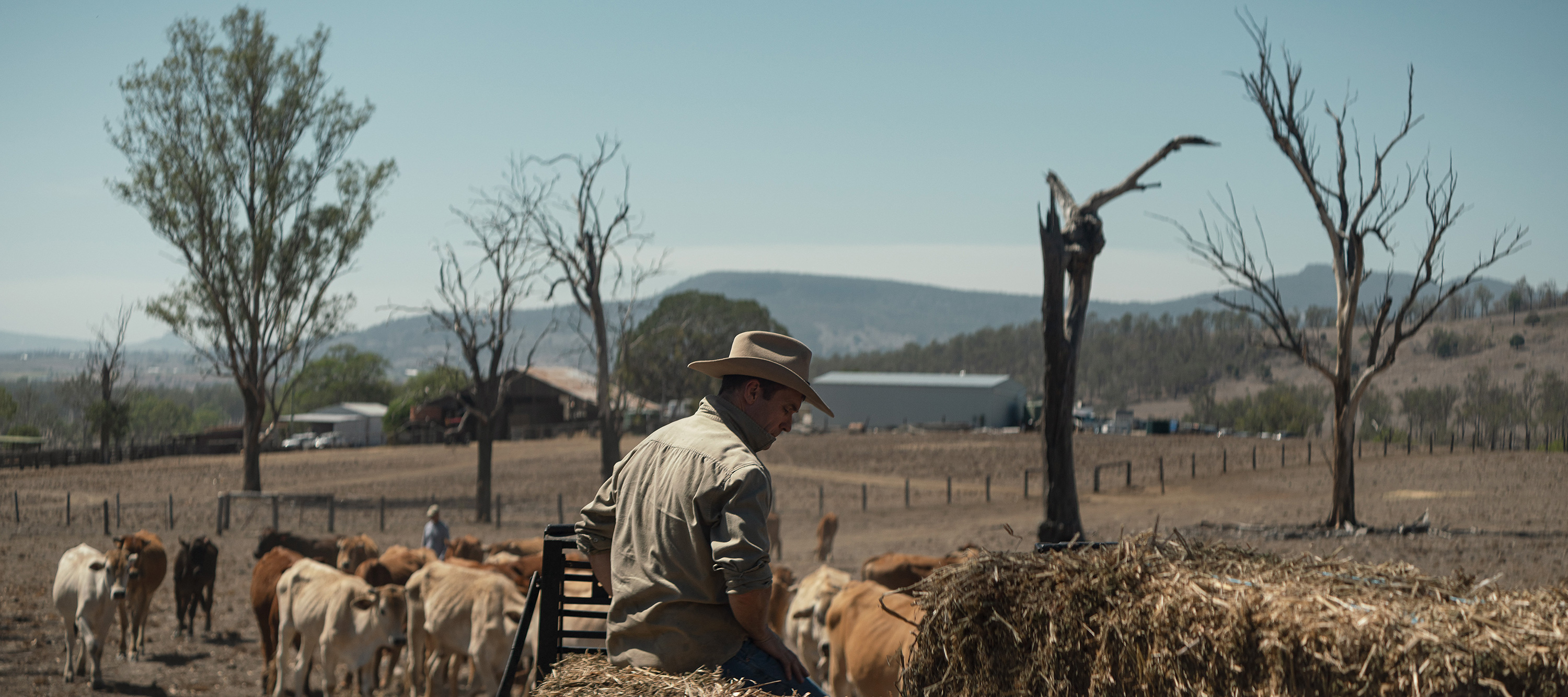 The Collective Force - Overview