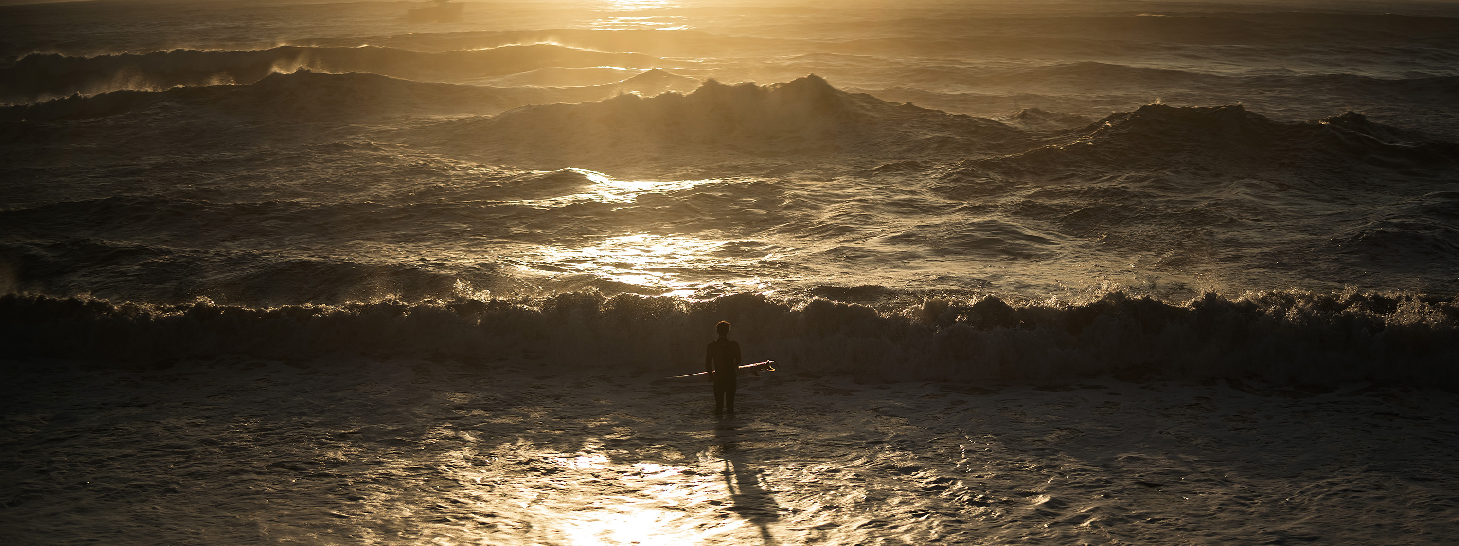 The Collective Force - Overview