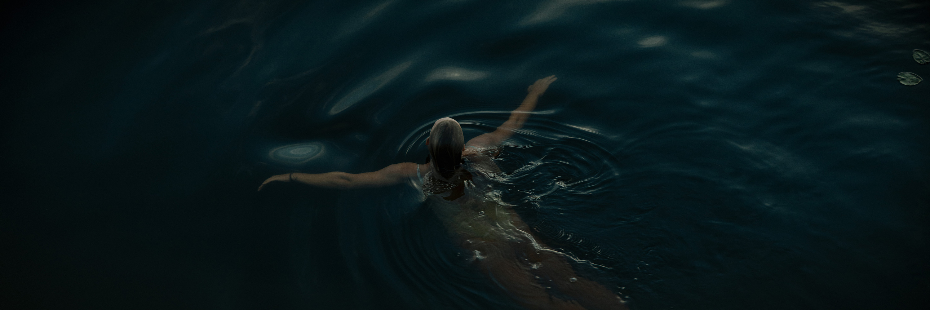 The Collective Force - Overview