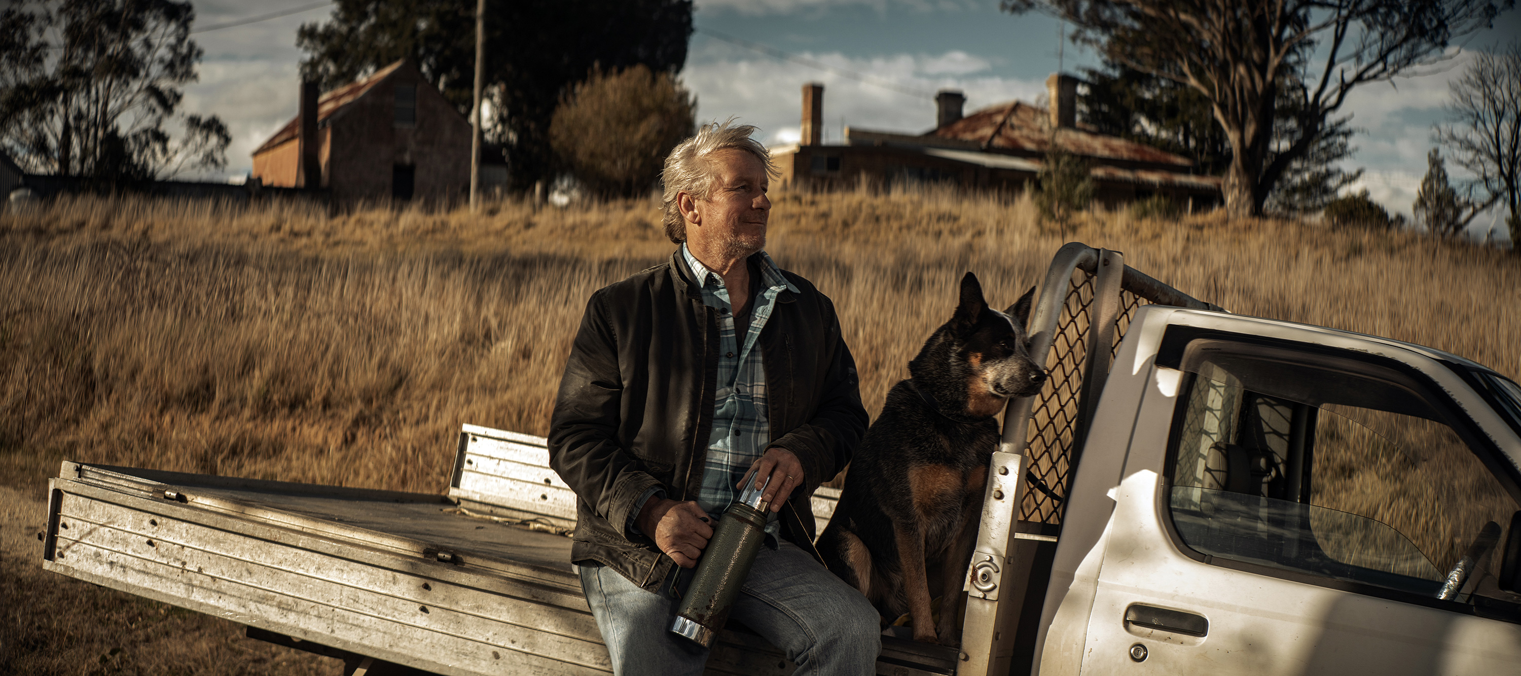 The Collective Force - Overview