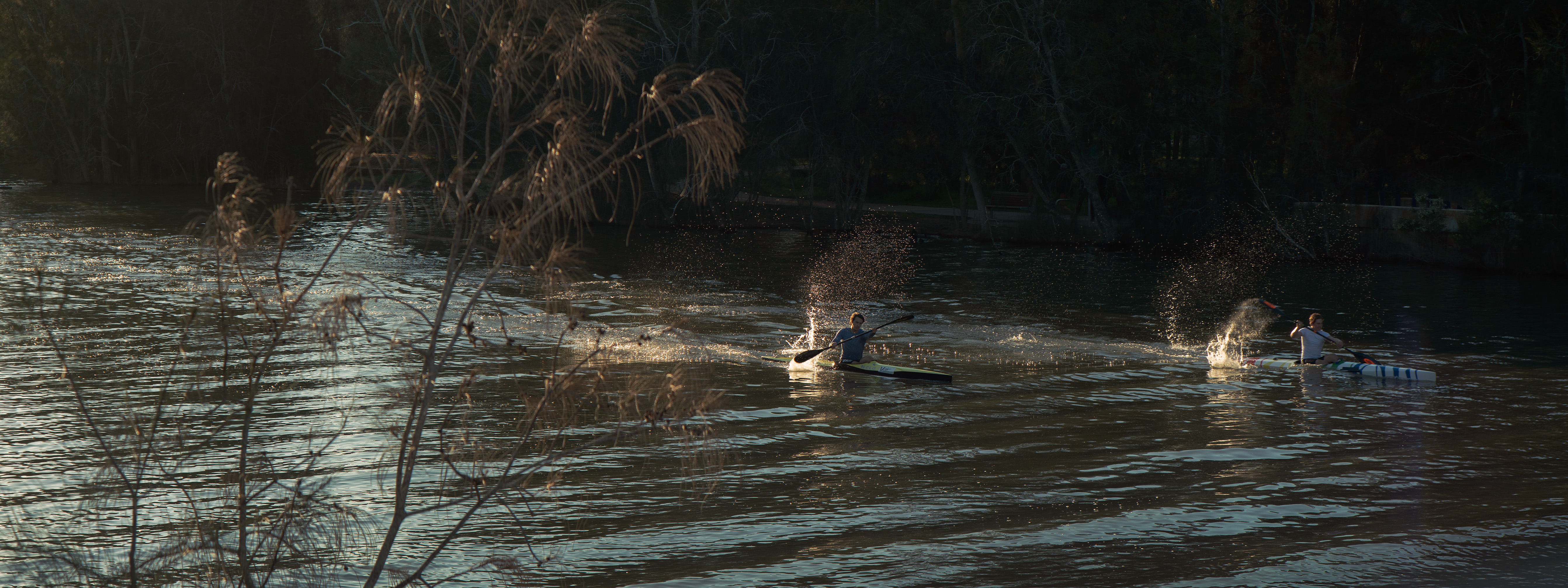 The Collective Force - Places