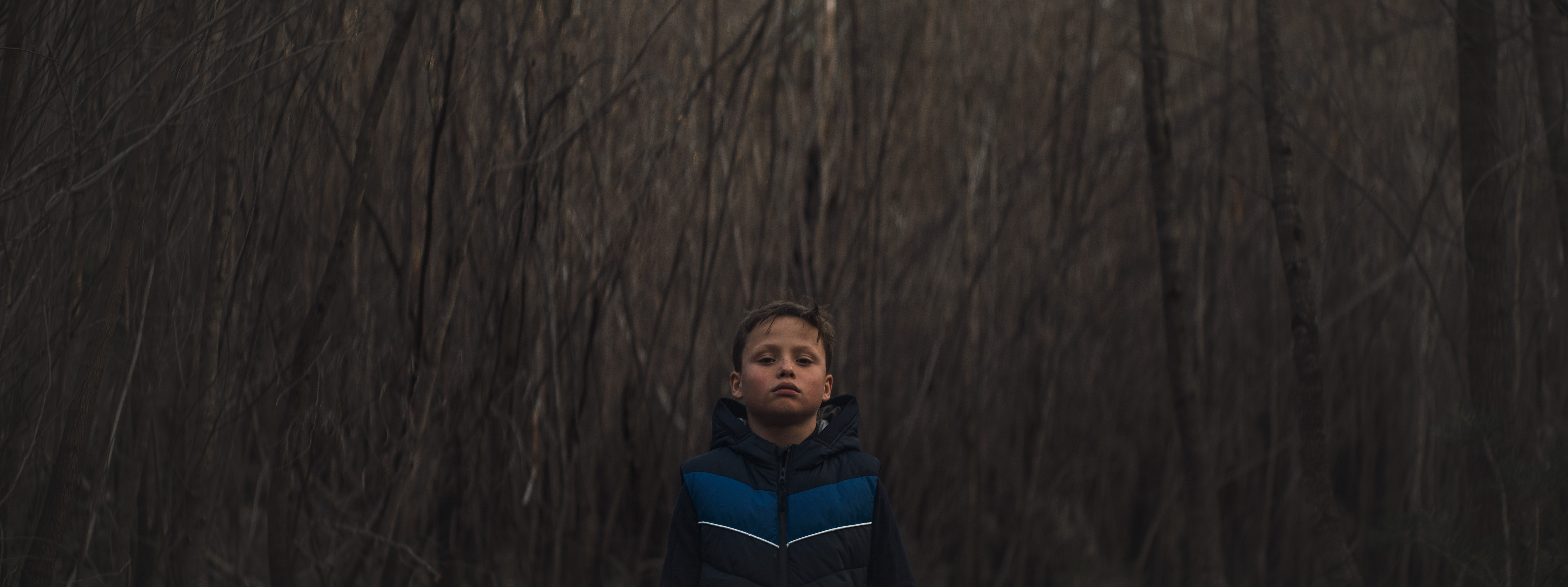 The Collective Force - Dick Sweeney