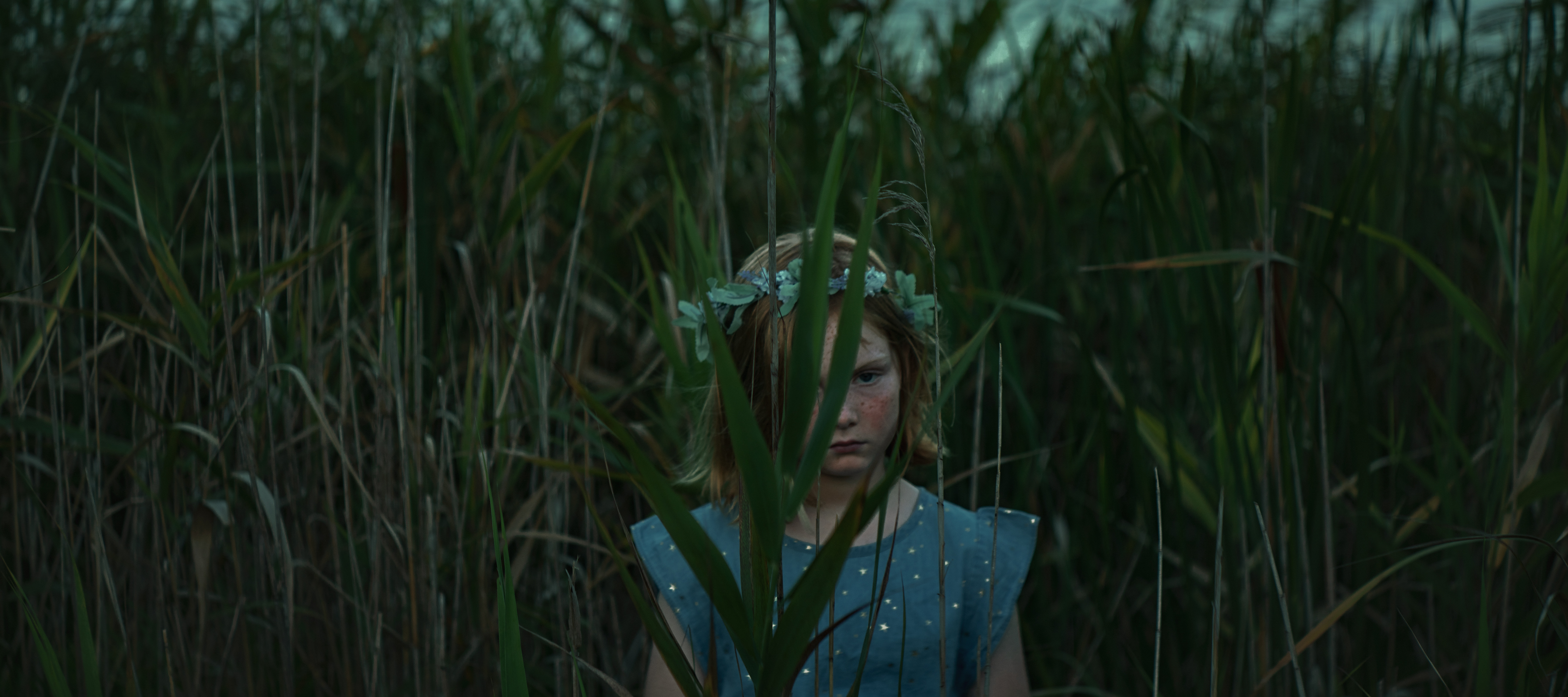 The Collective Force - Dick Sweeney