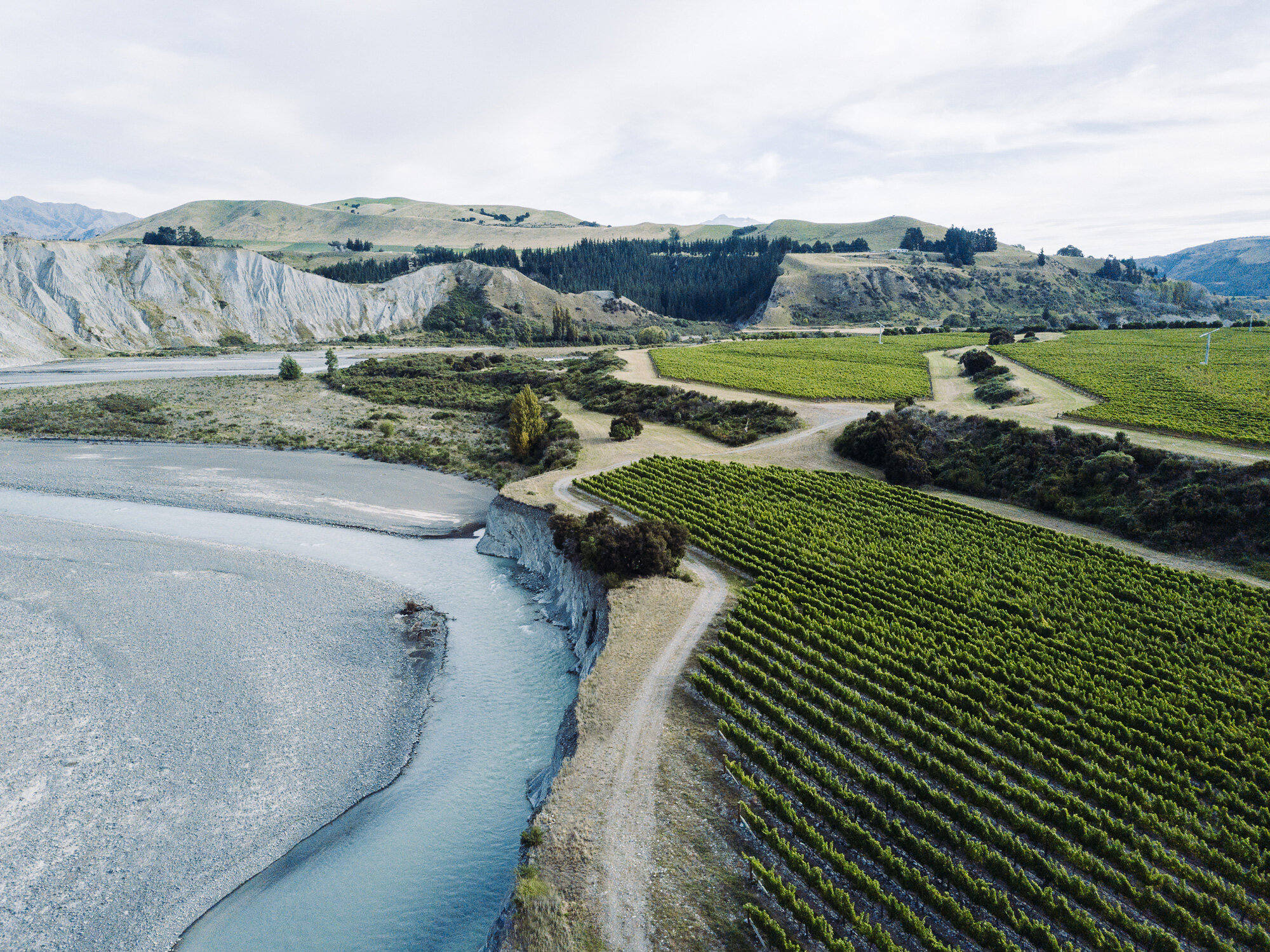 The Collective Force - Josh Griggs