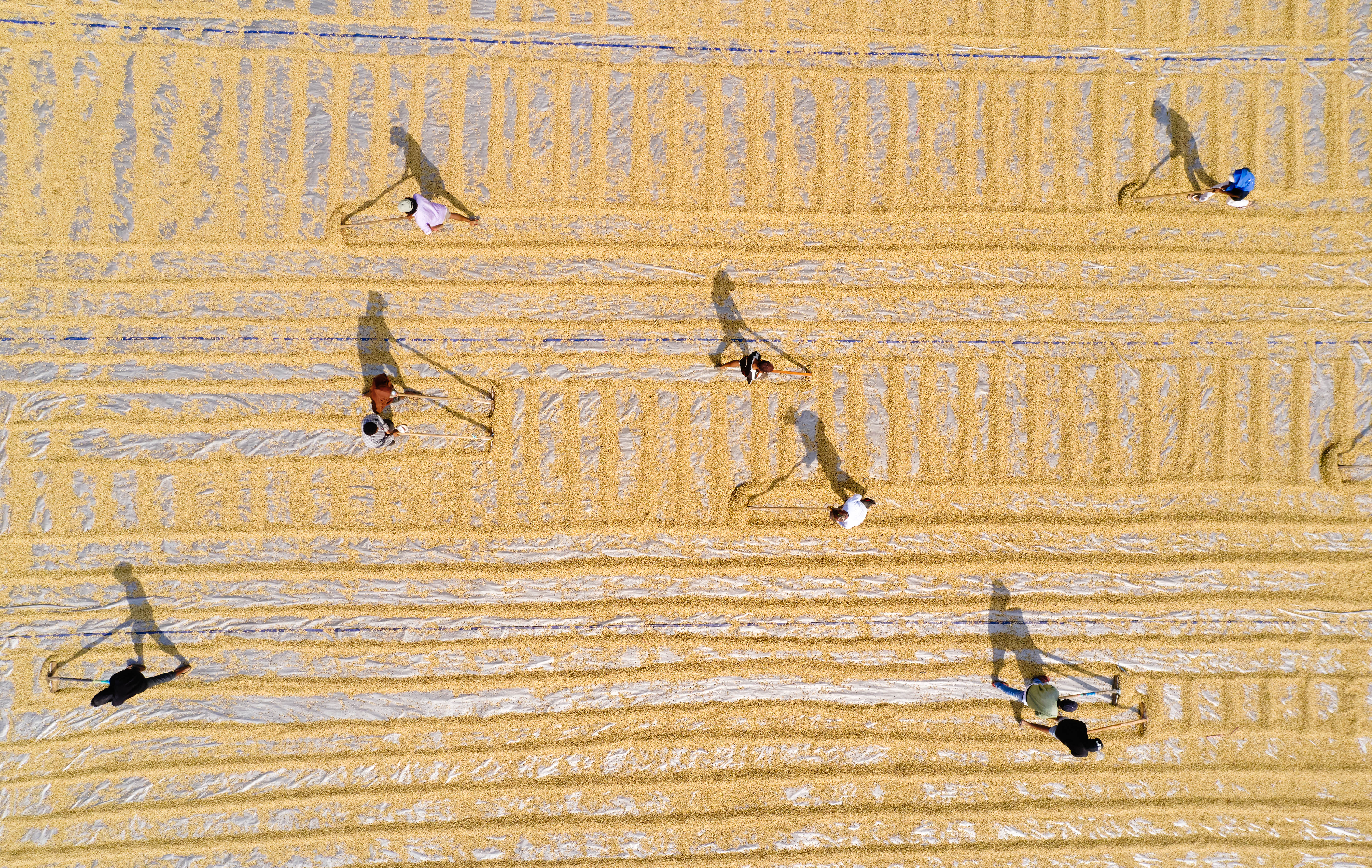 The Collective Force - Josh Griggs