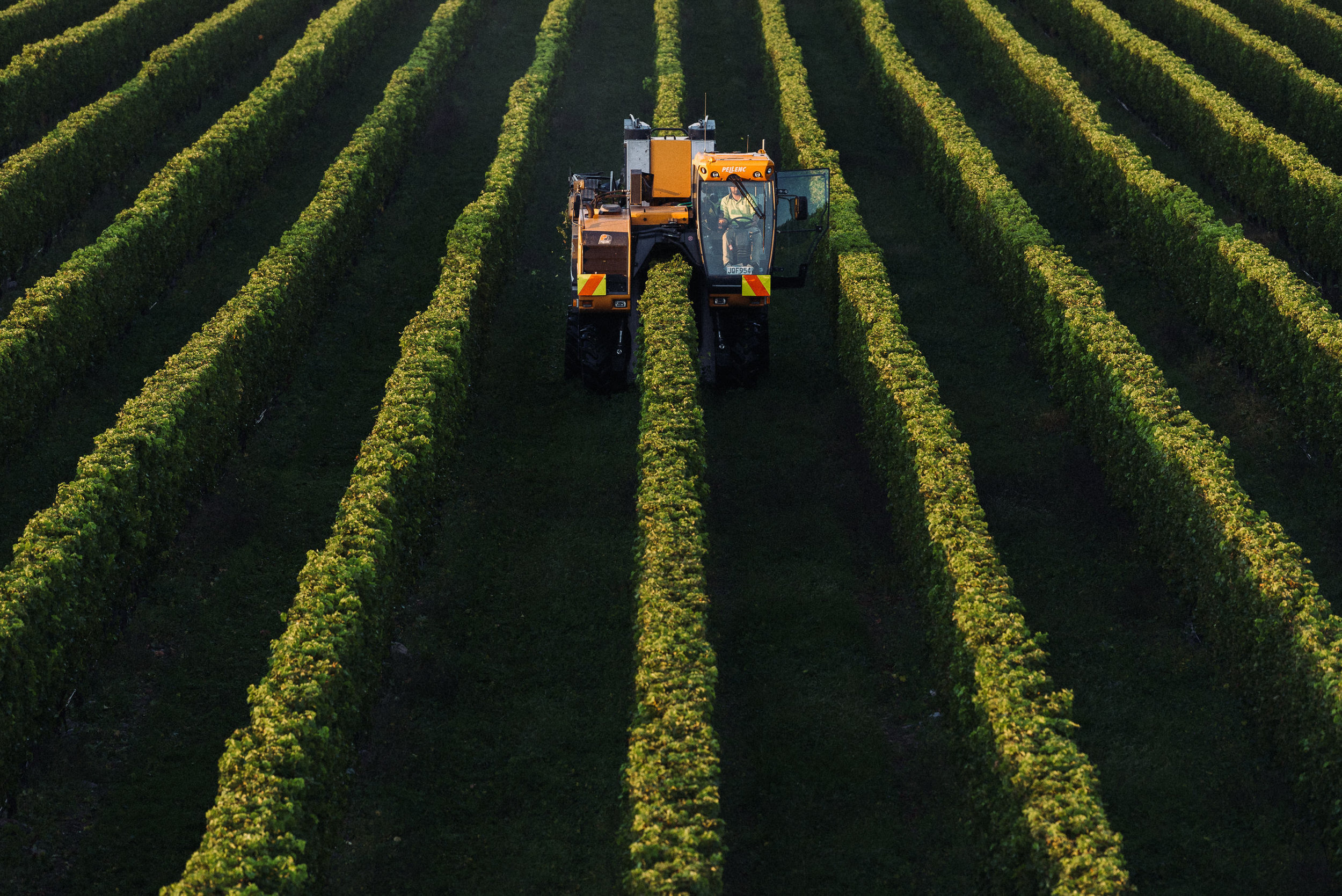 The Collective Force - Josh Griggs