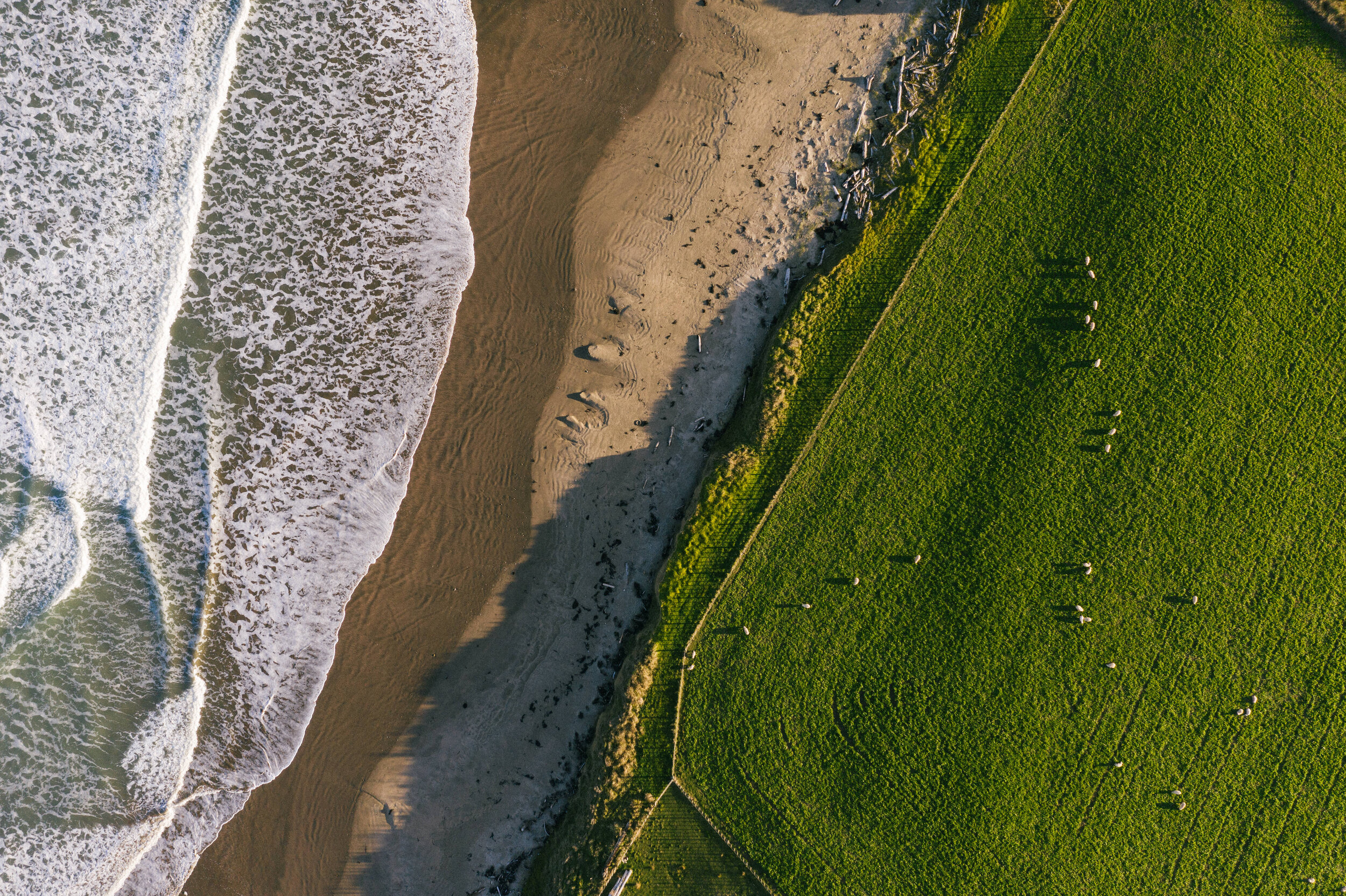 The Collective Force - Josh Griggs