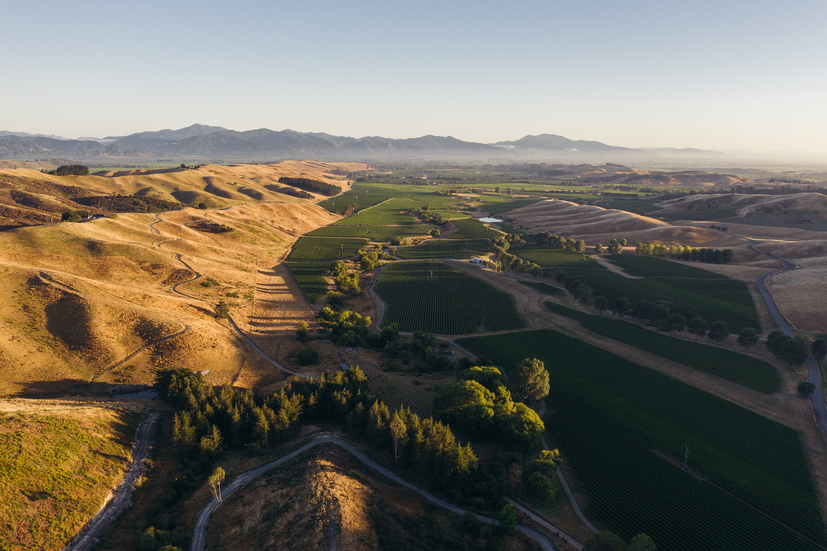 The Collective Force - Josh Griggs