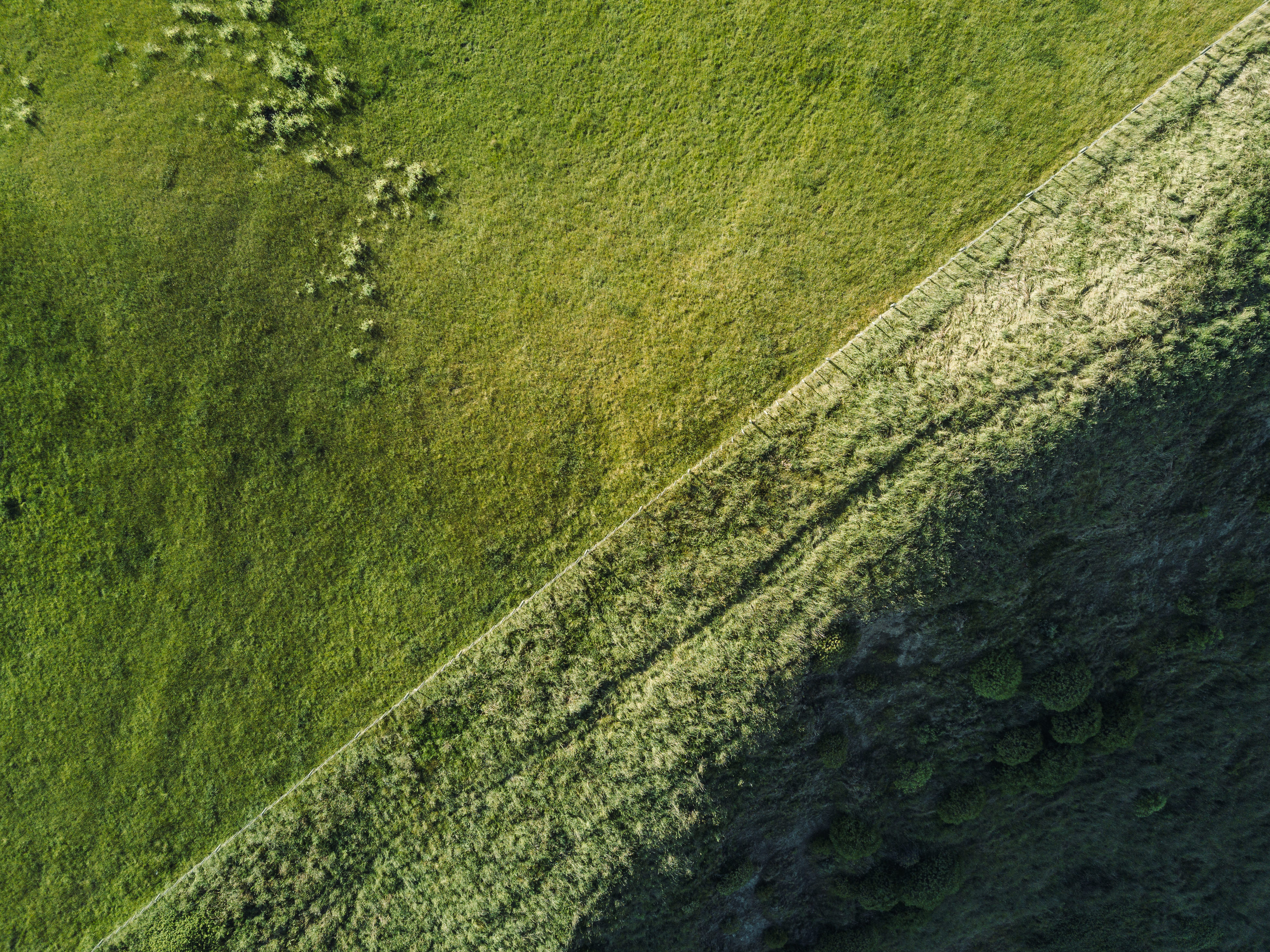 The Collective Force - Josh Griggs