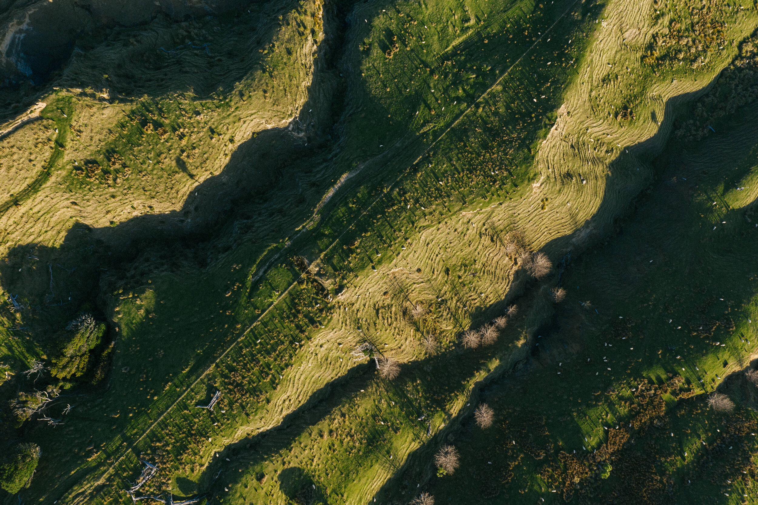 The Collective Force - Artists