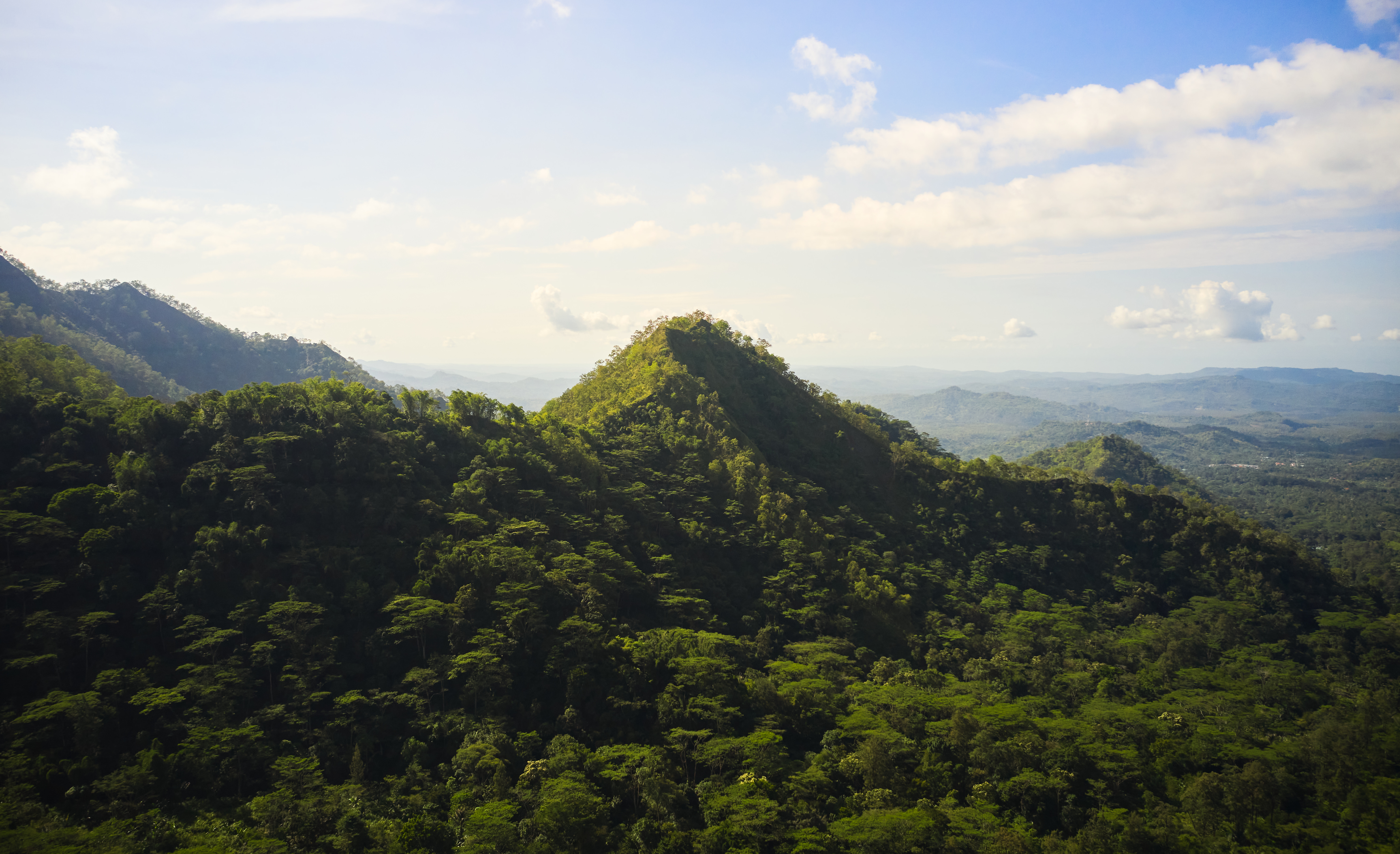 The Collective Force - Josh Griggs