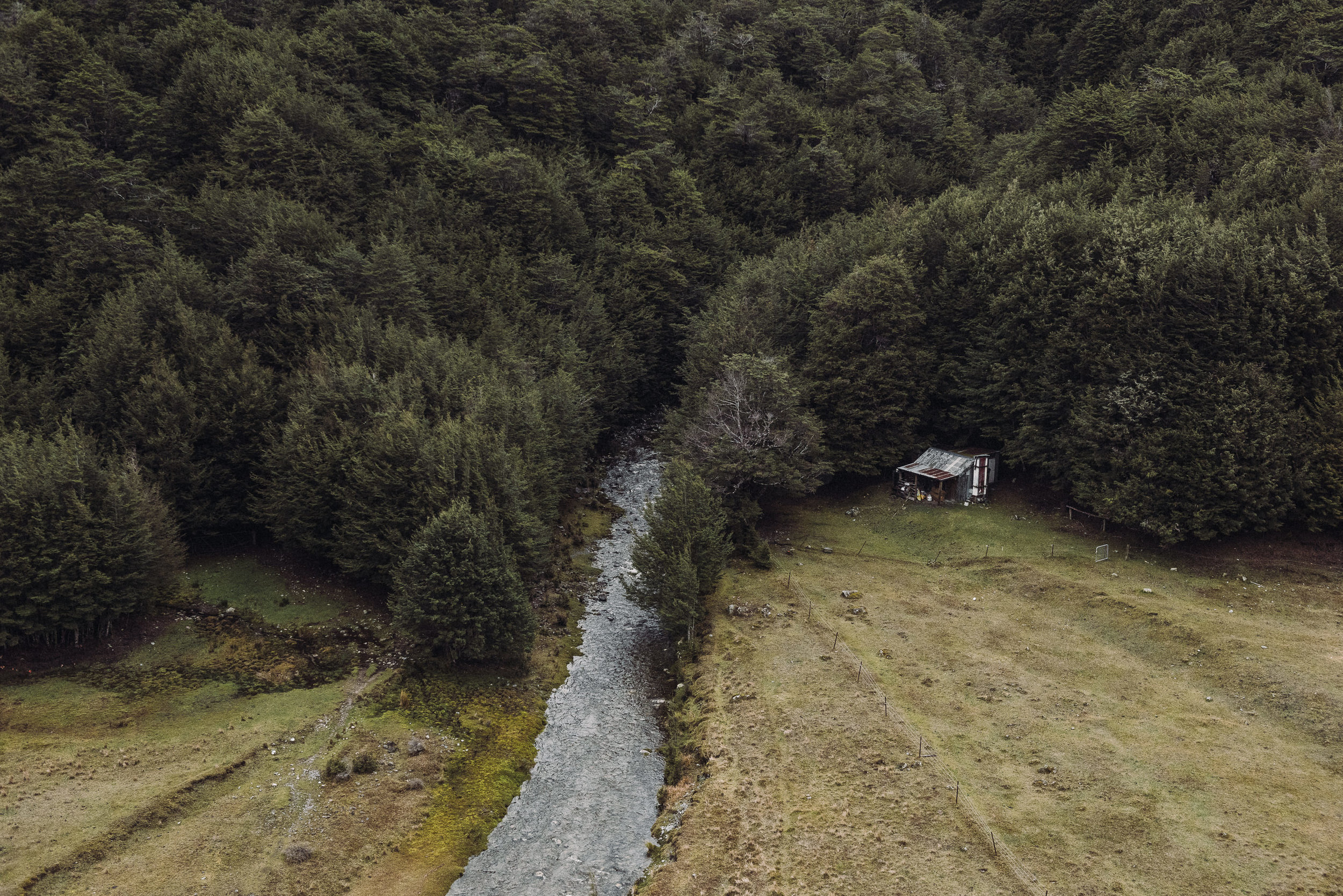 The Collective Force - Josh Griggs