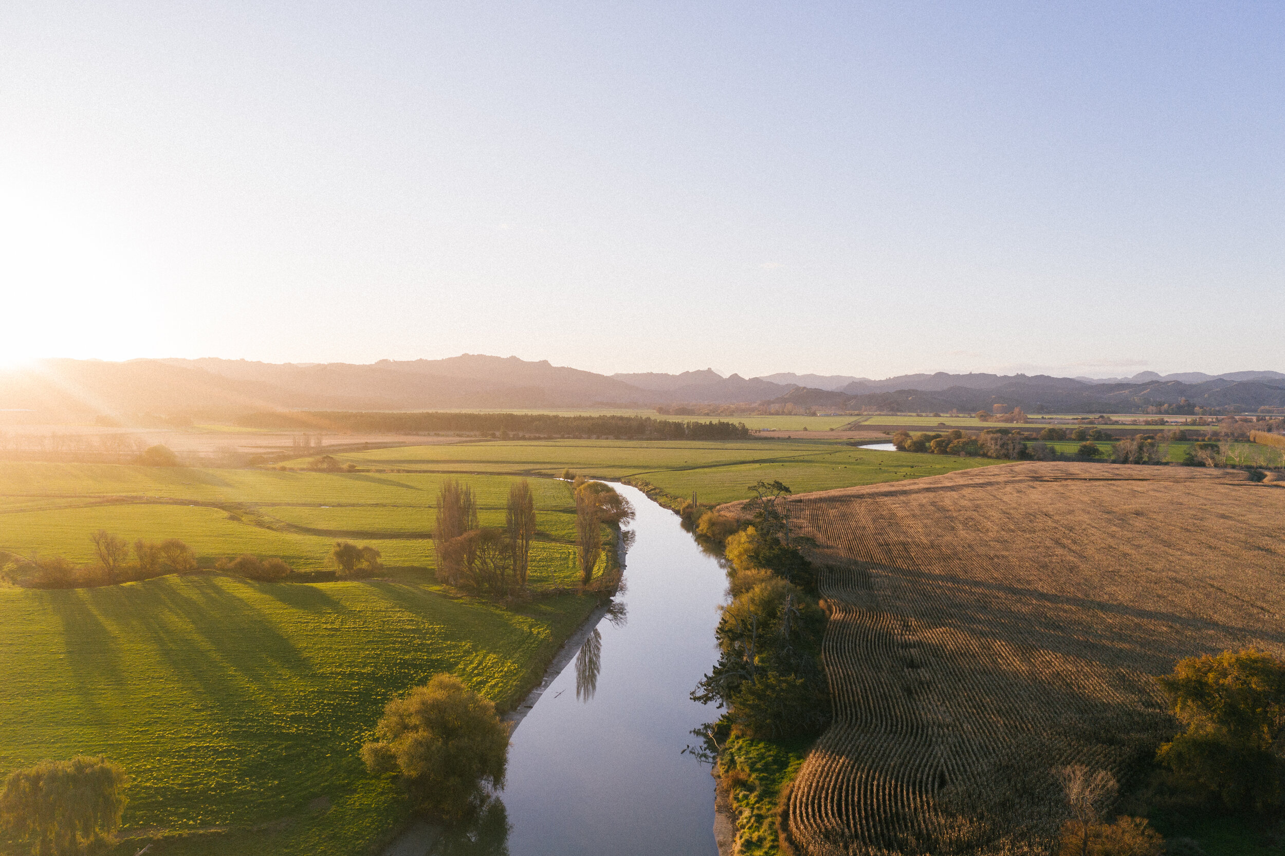 The Collective Force - Josh Griggs