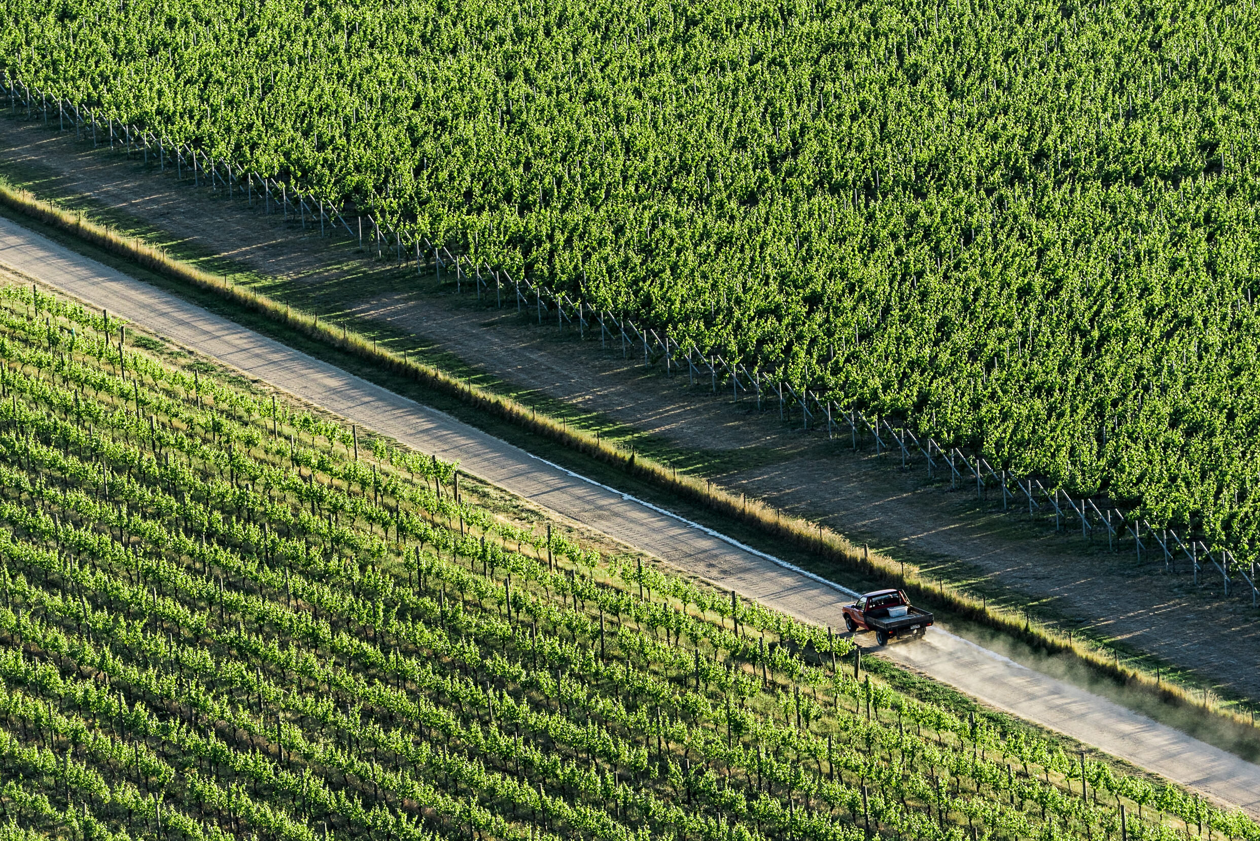 The Collective Force - Josh Griggs