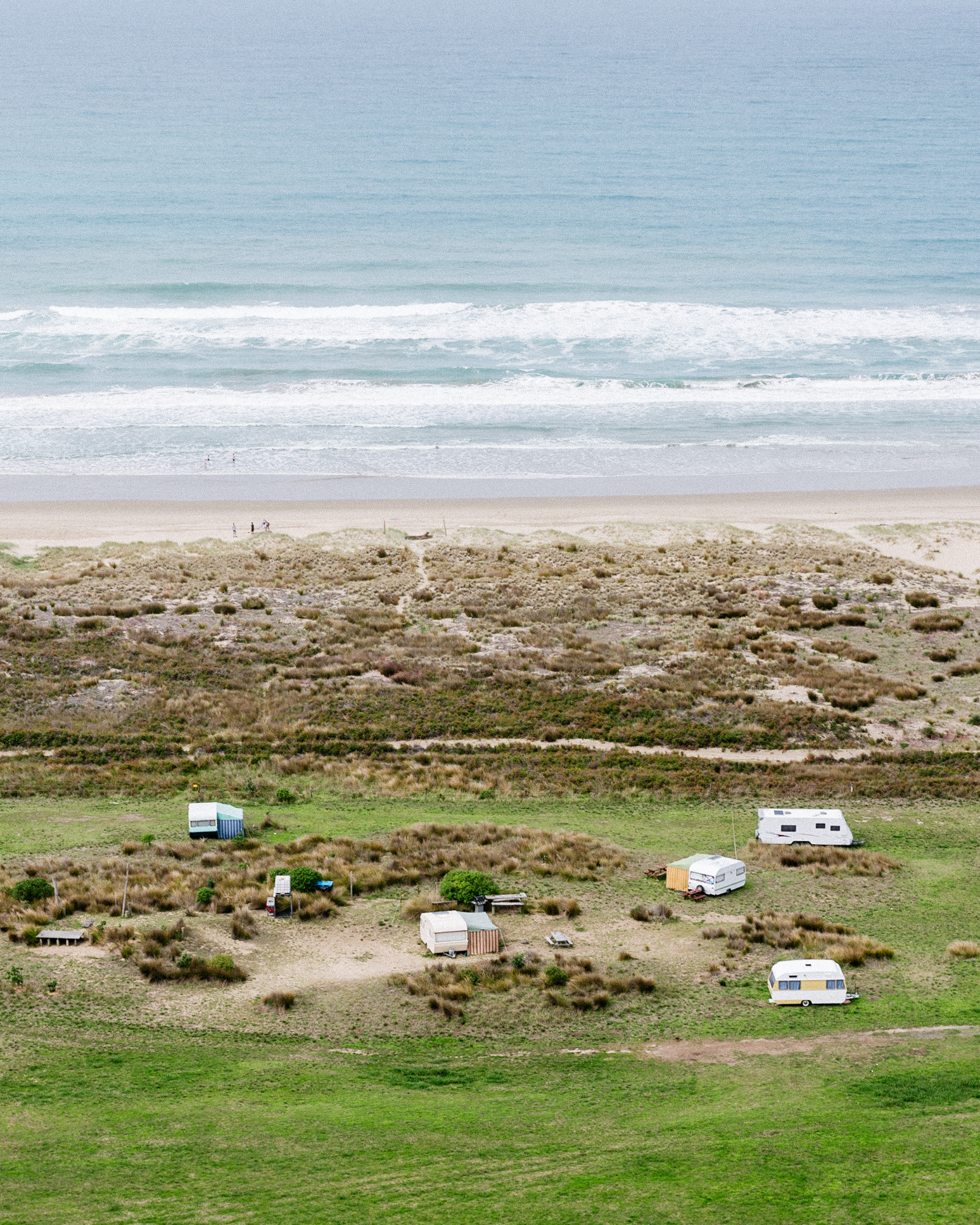 The Collective Force - Al Brown | Eat Up NZ