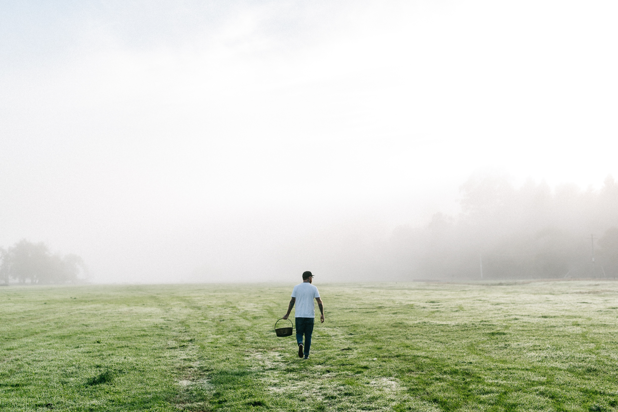 The Collective Force - Al Brown | Eat Up NZ