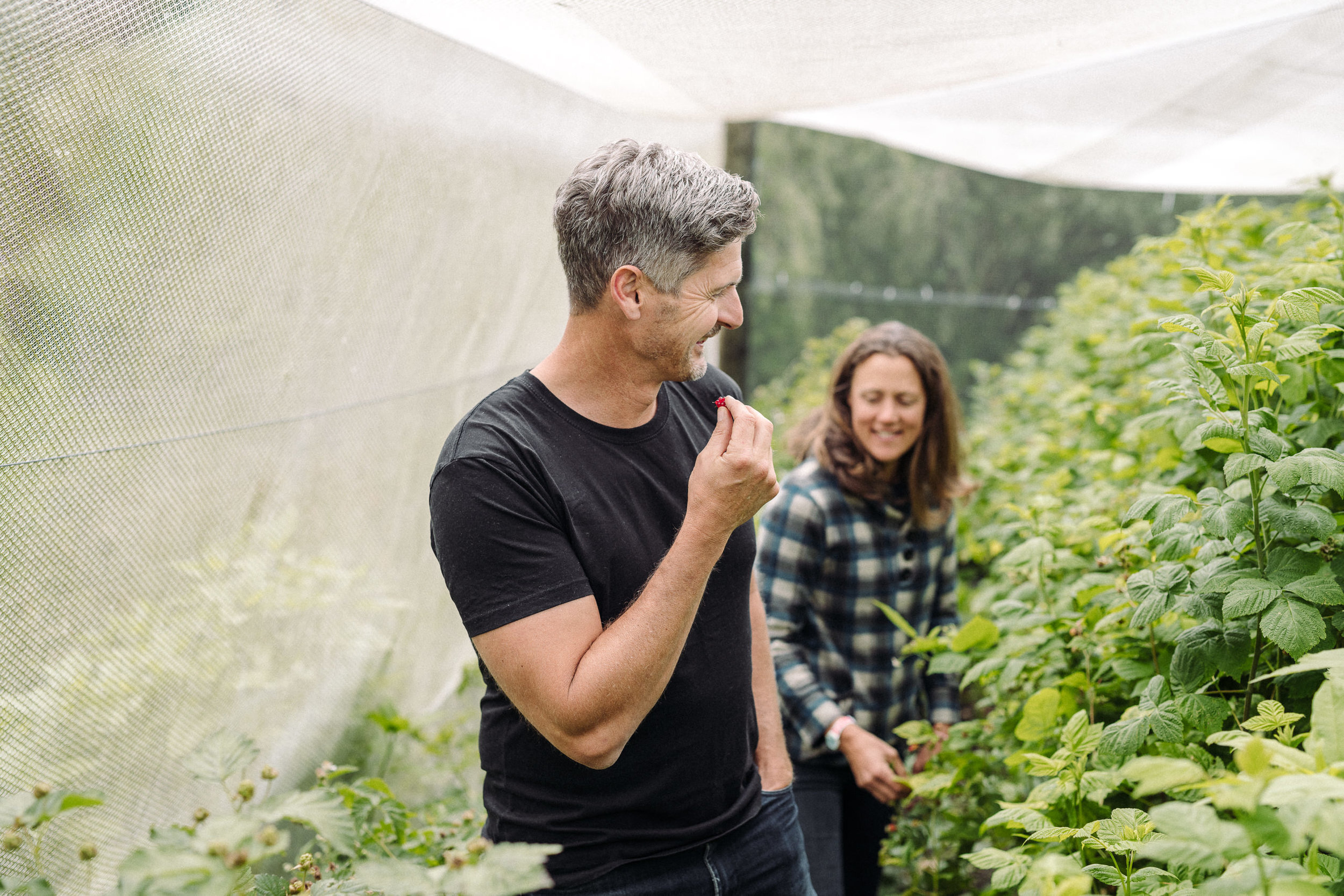 The Collective Force - Be Pure