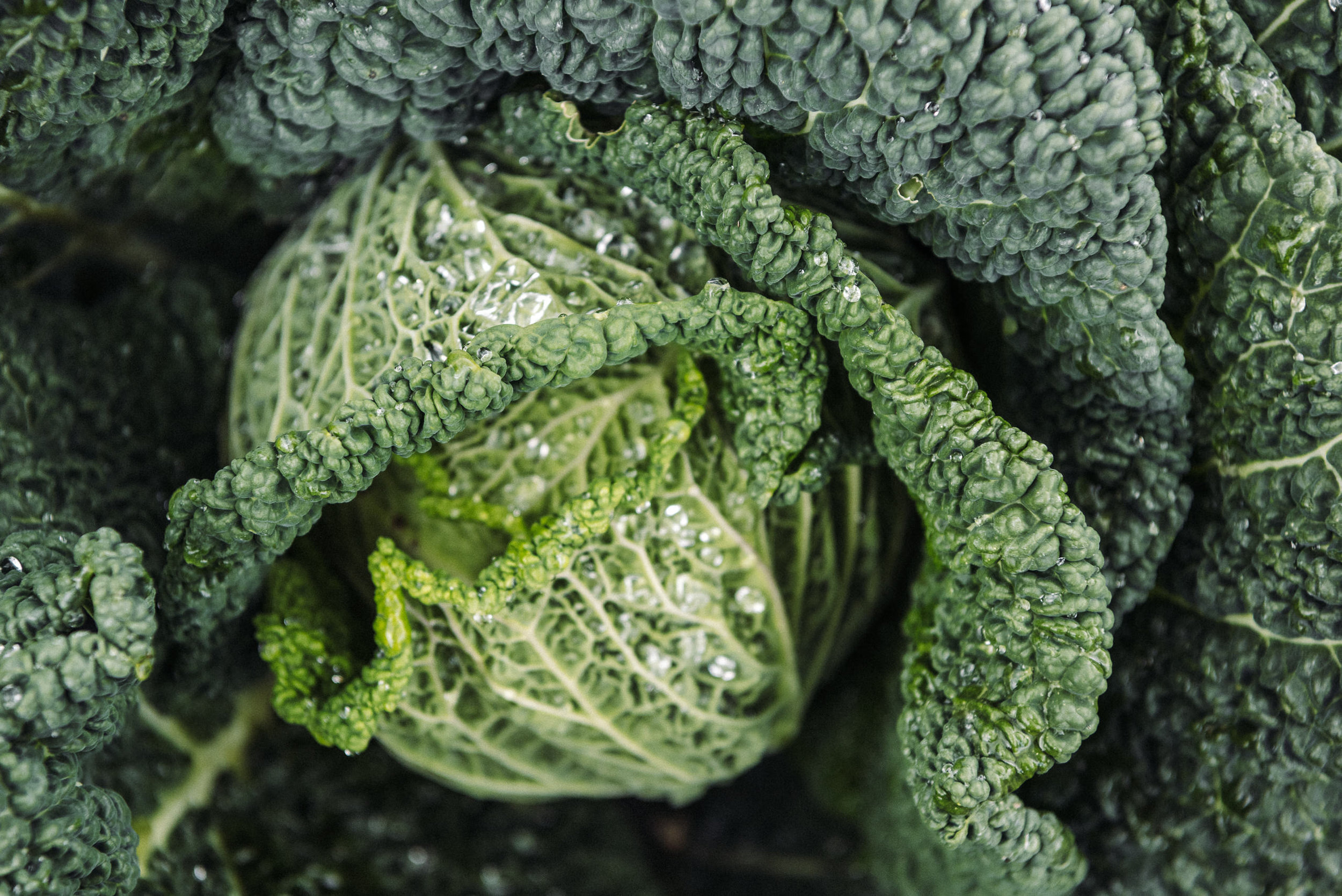 The Collective Force - Be Pure