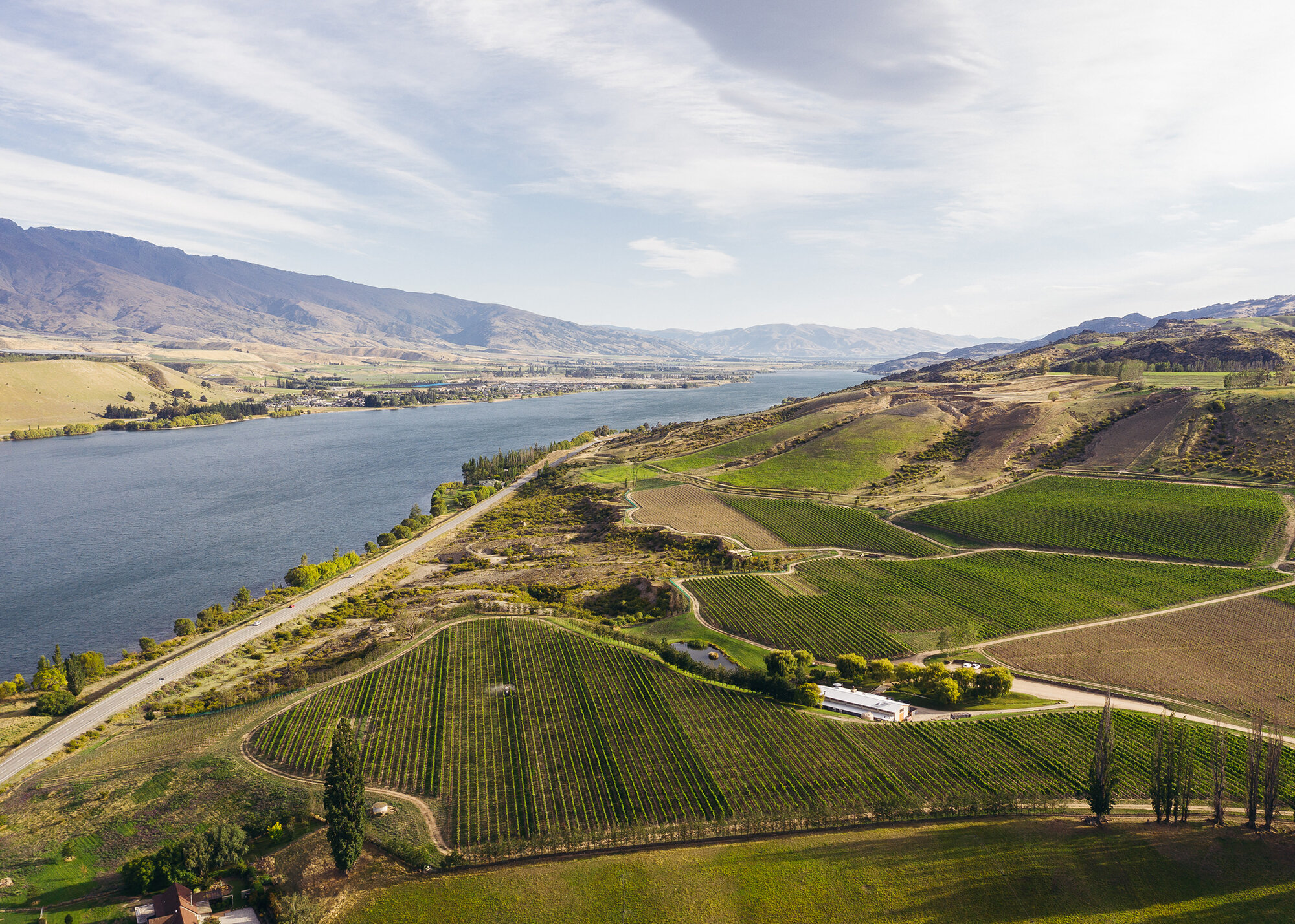 The Collective Force - Cloudy Bay