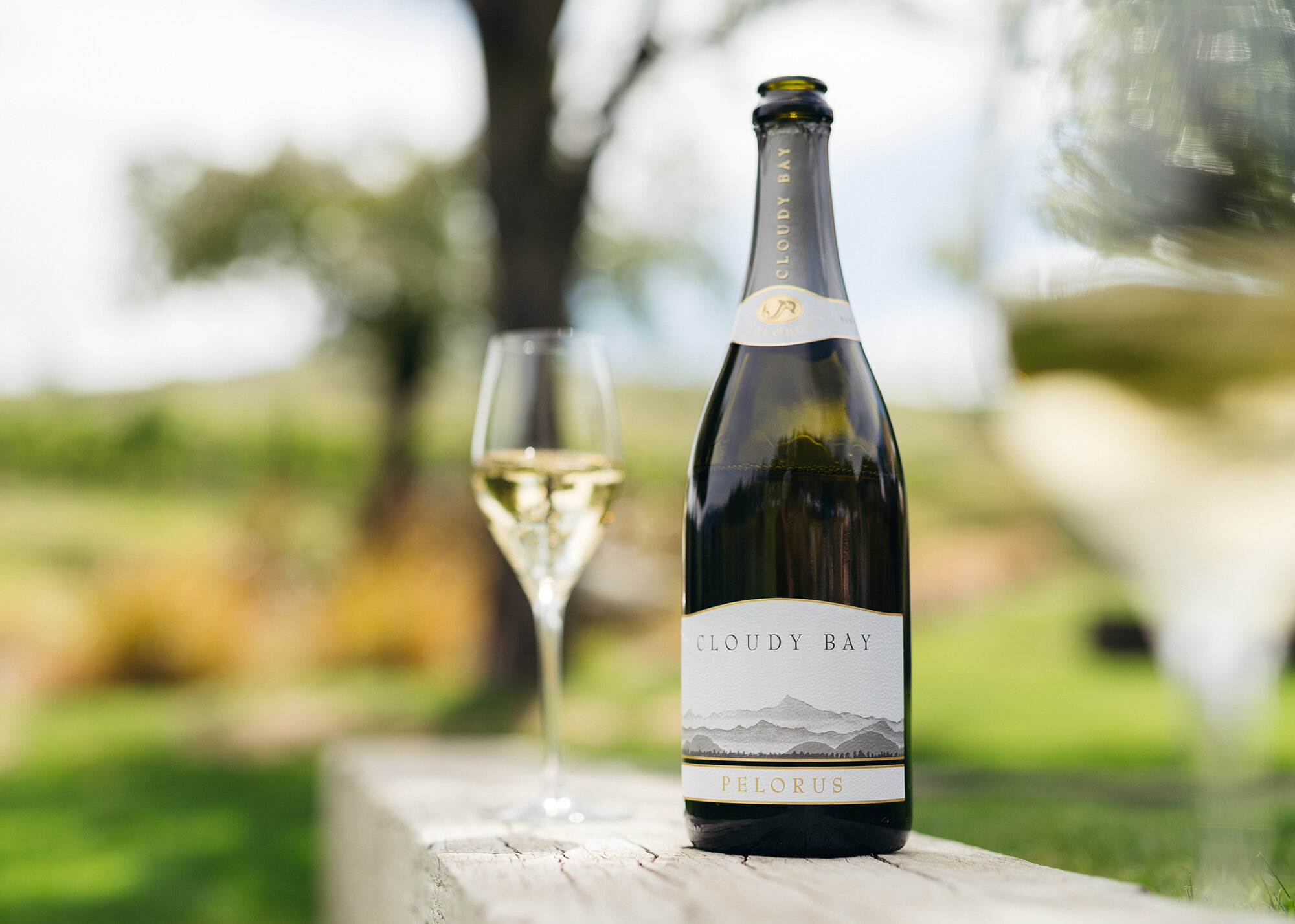 The Collective Force - Cloudy Bay