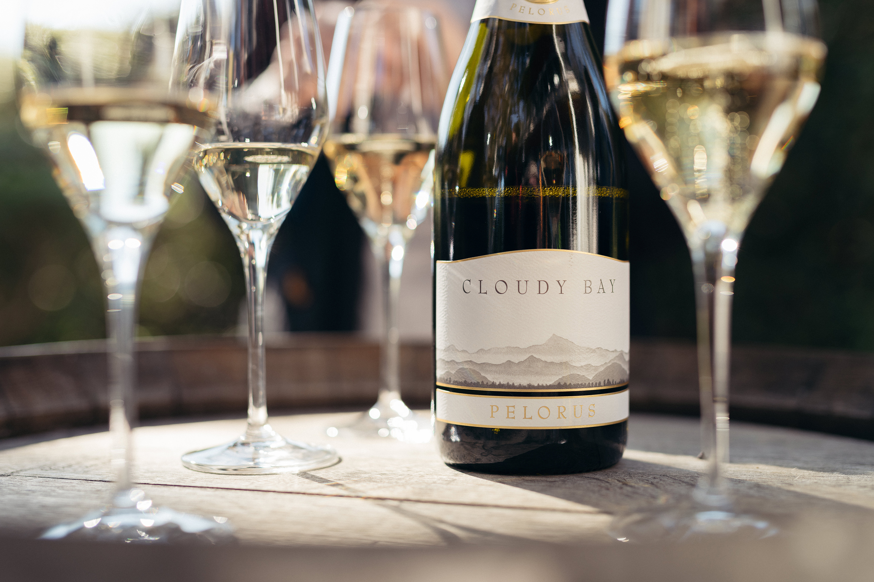 The Collective Force - Cloudy Bay