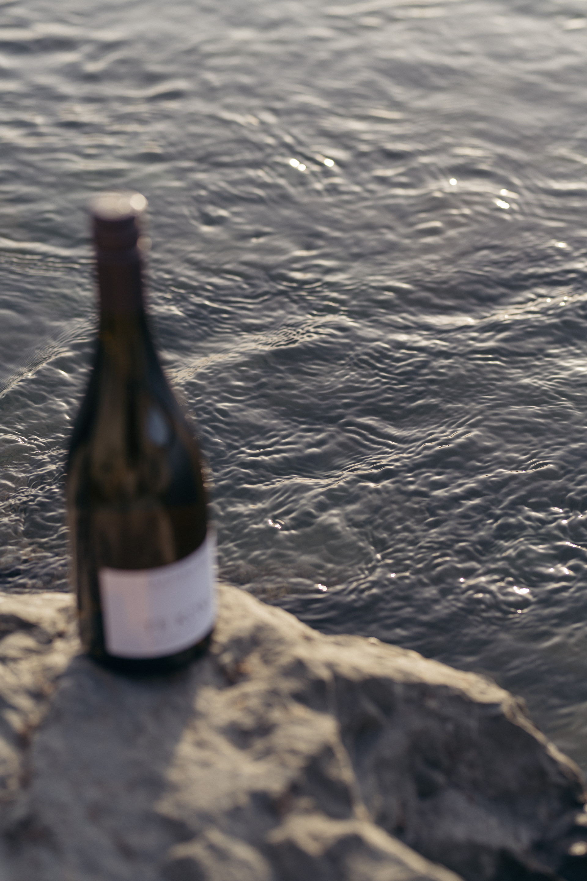 The Collective Force - Cloudy Bay