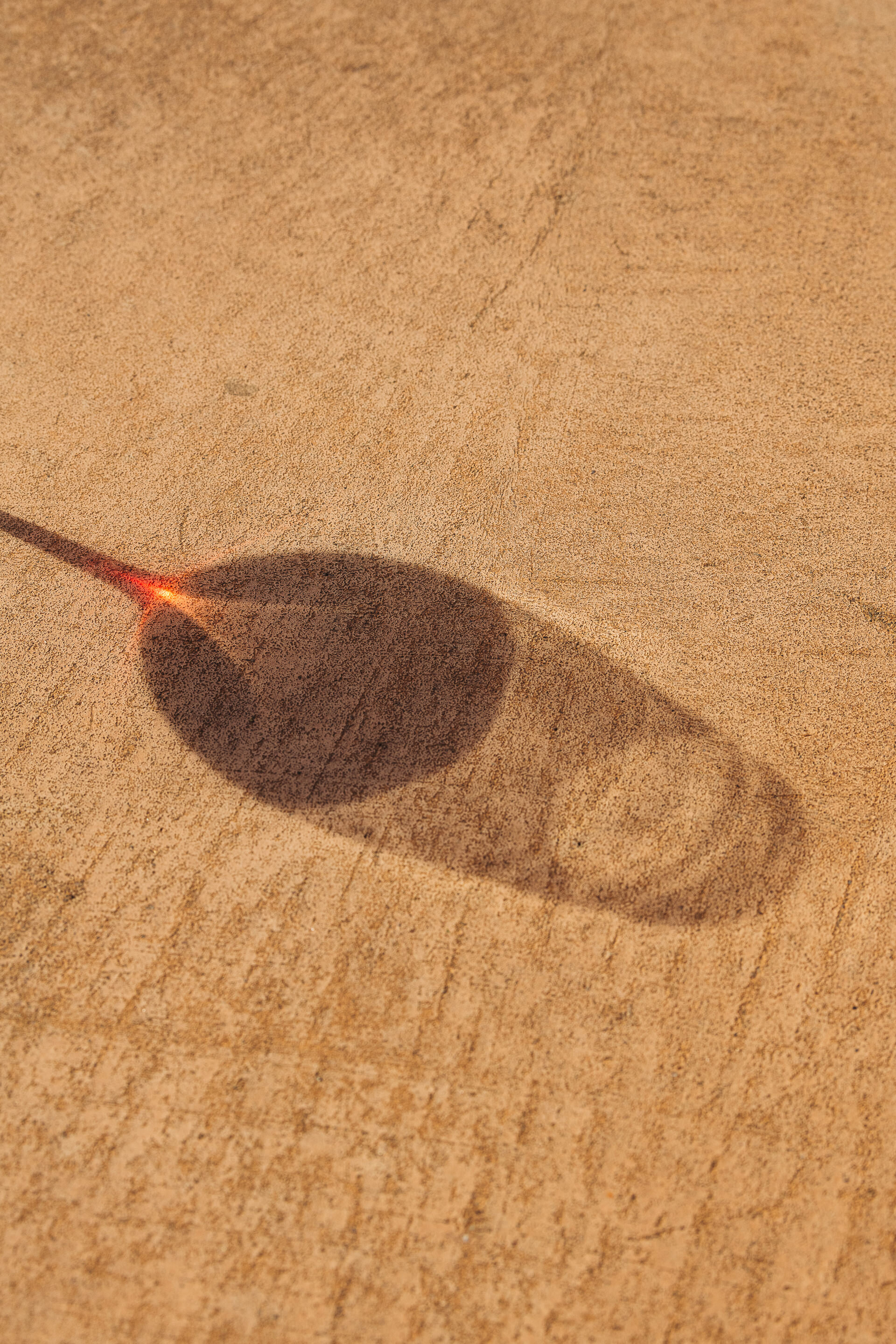 The Collective Force - Cloudy Bay