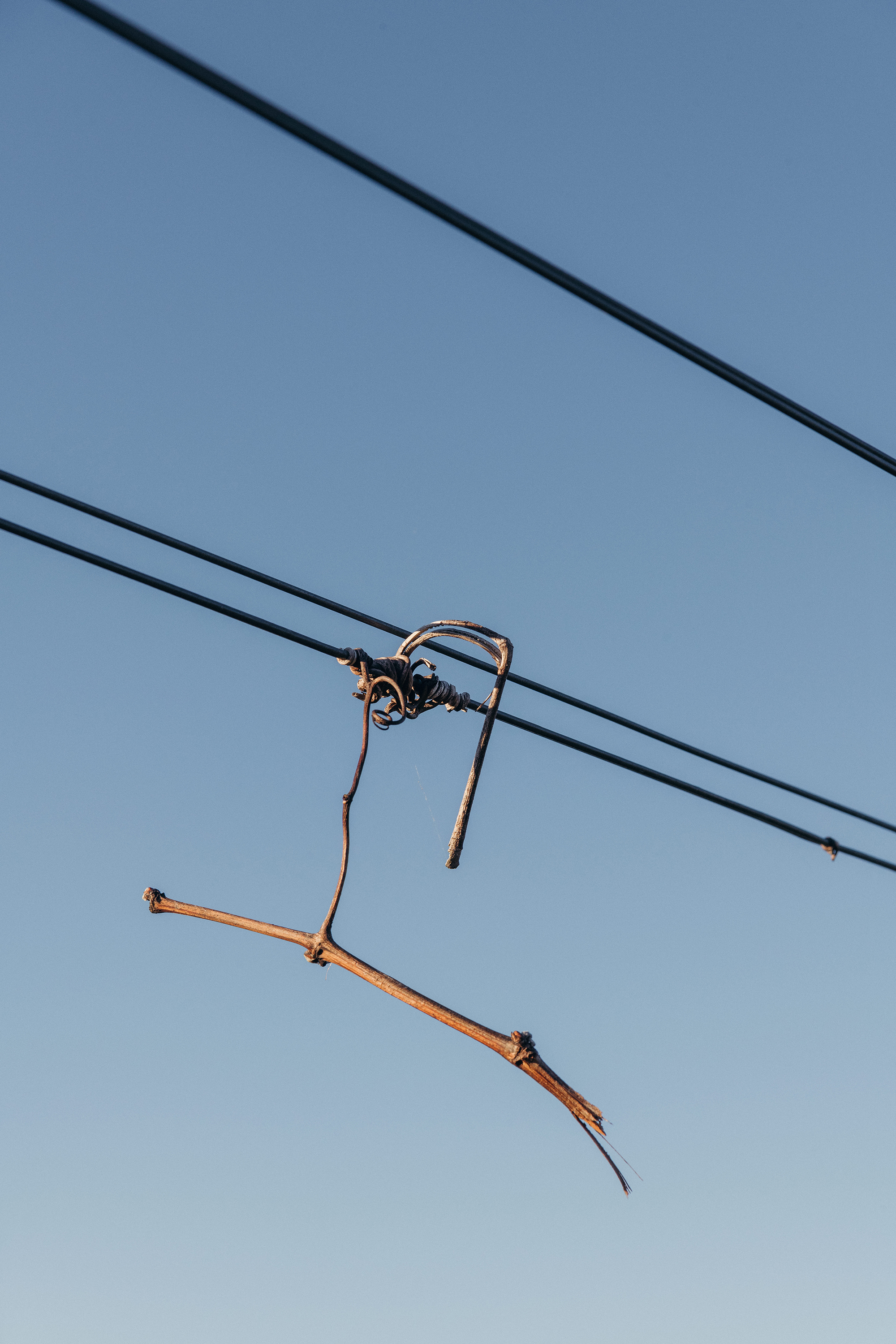 The Collective Force - Cloudy Bay