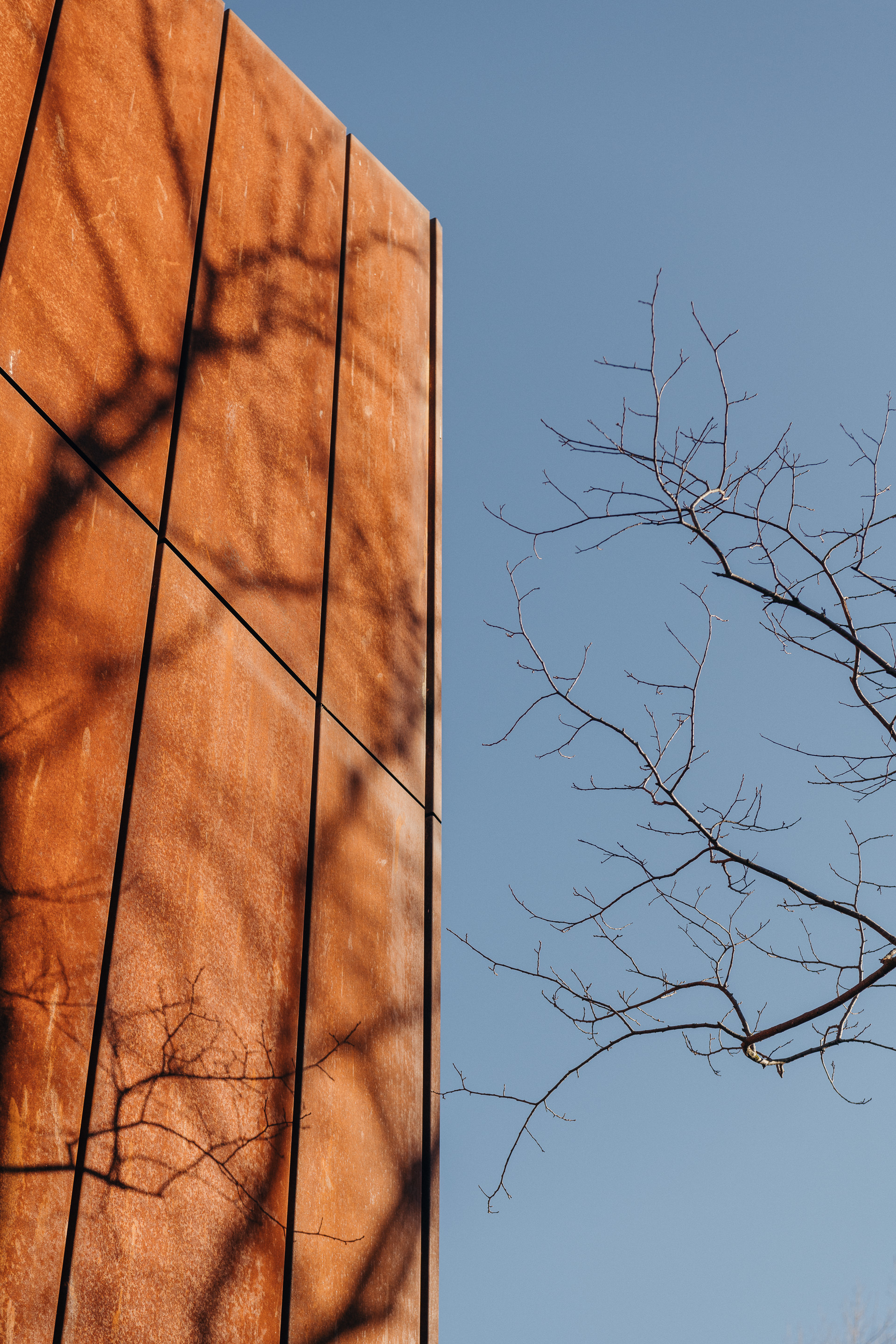 The Collective Force - Cloudy Bay