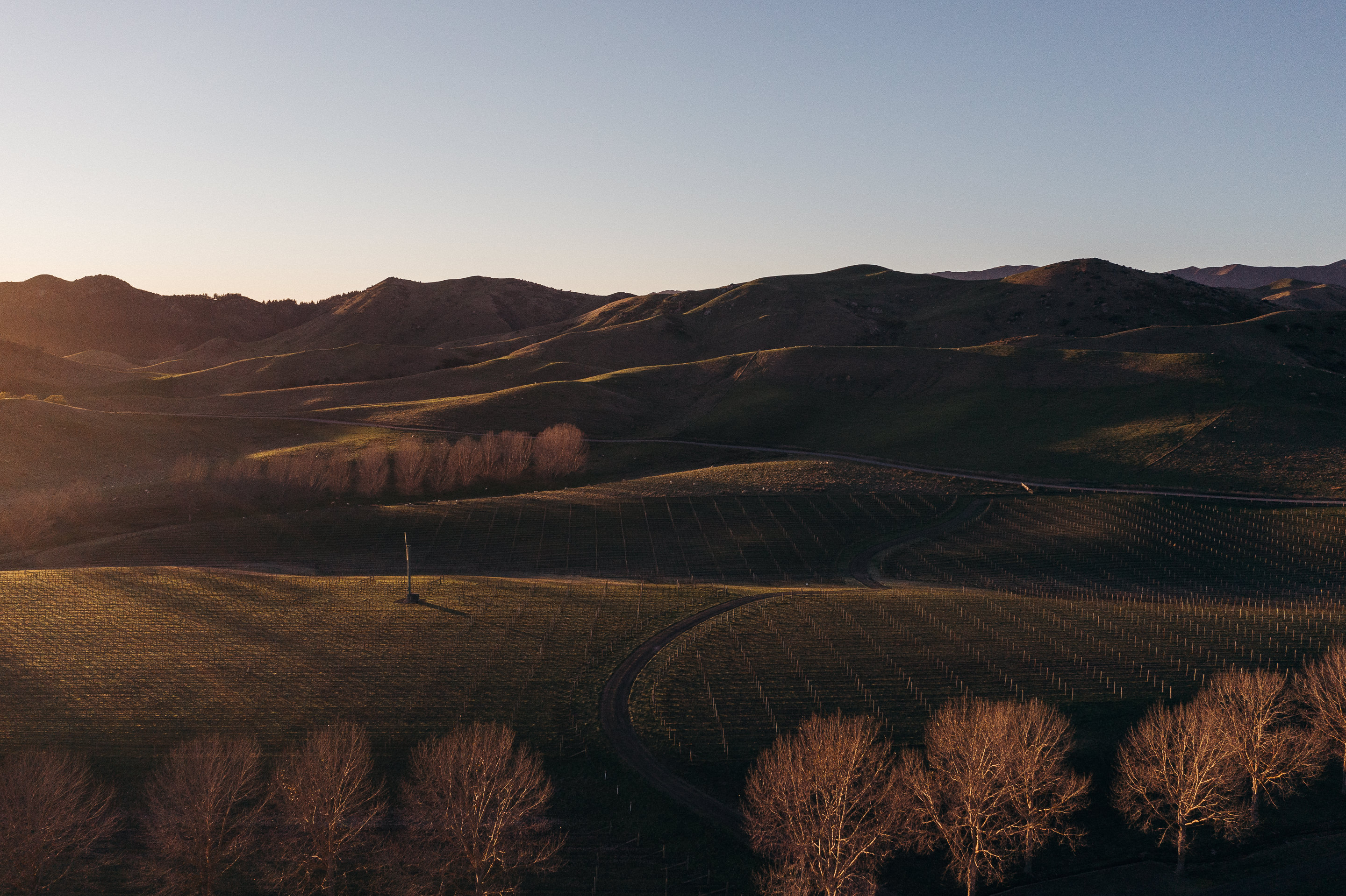 The Collective Force - Cloudy Bay