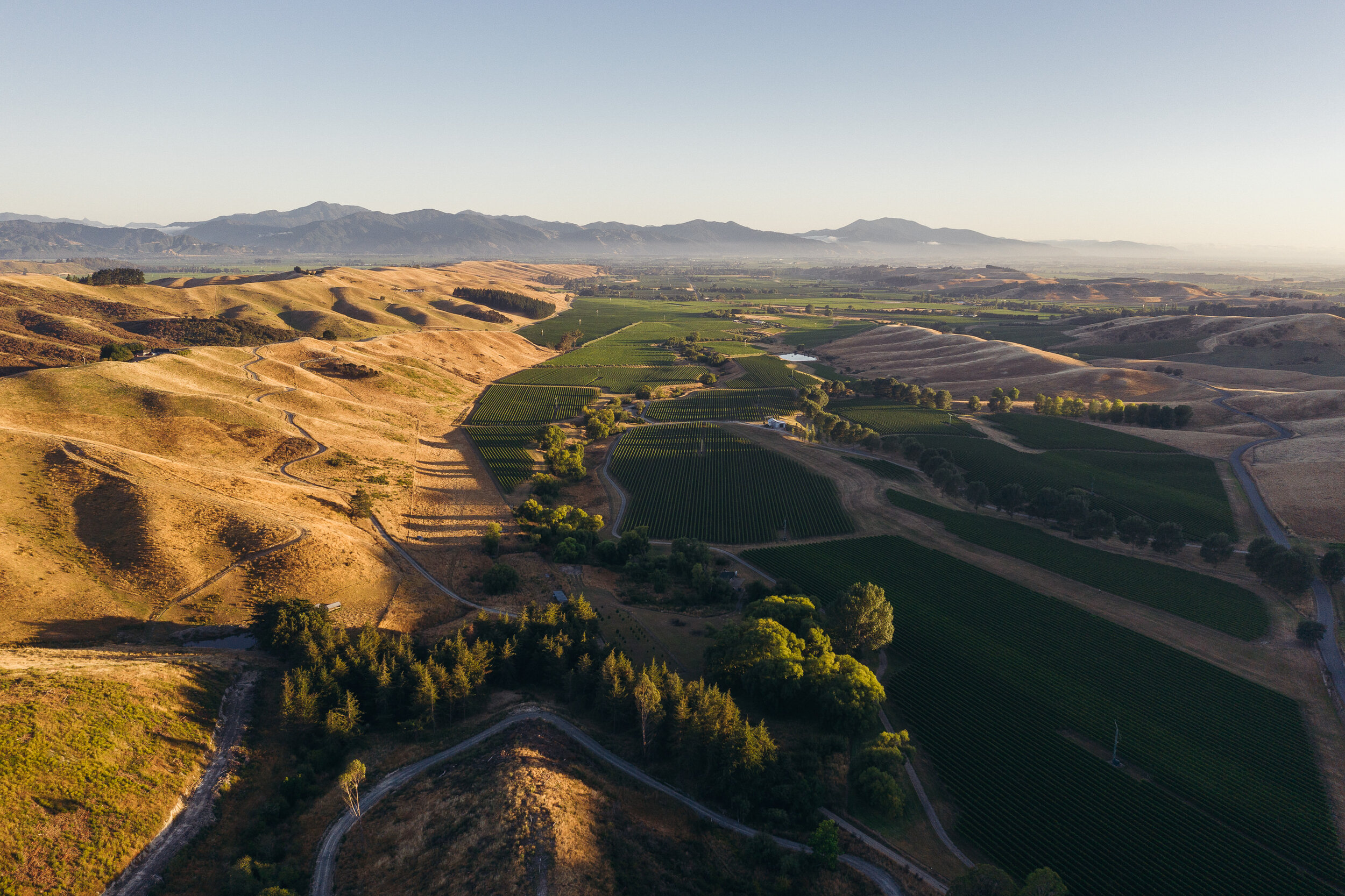 The Collective Force - Cloudy Bay