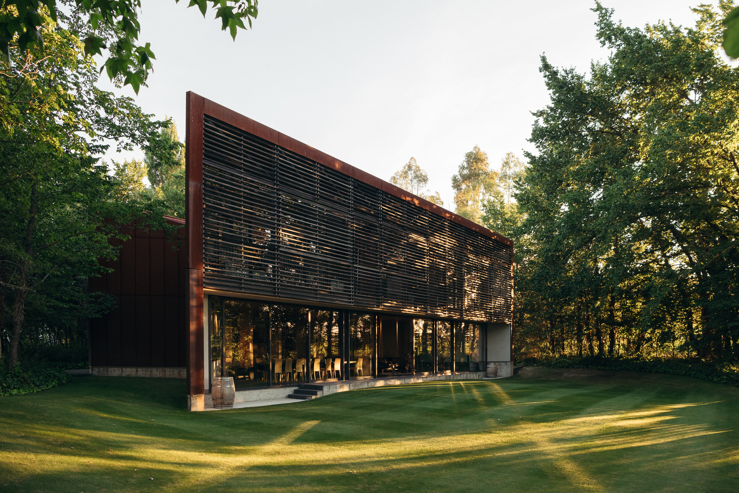 The Collective Force - Cloudy Bay