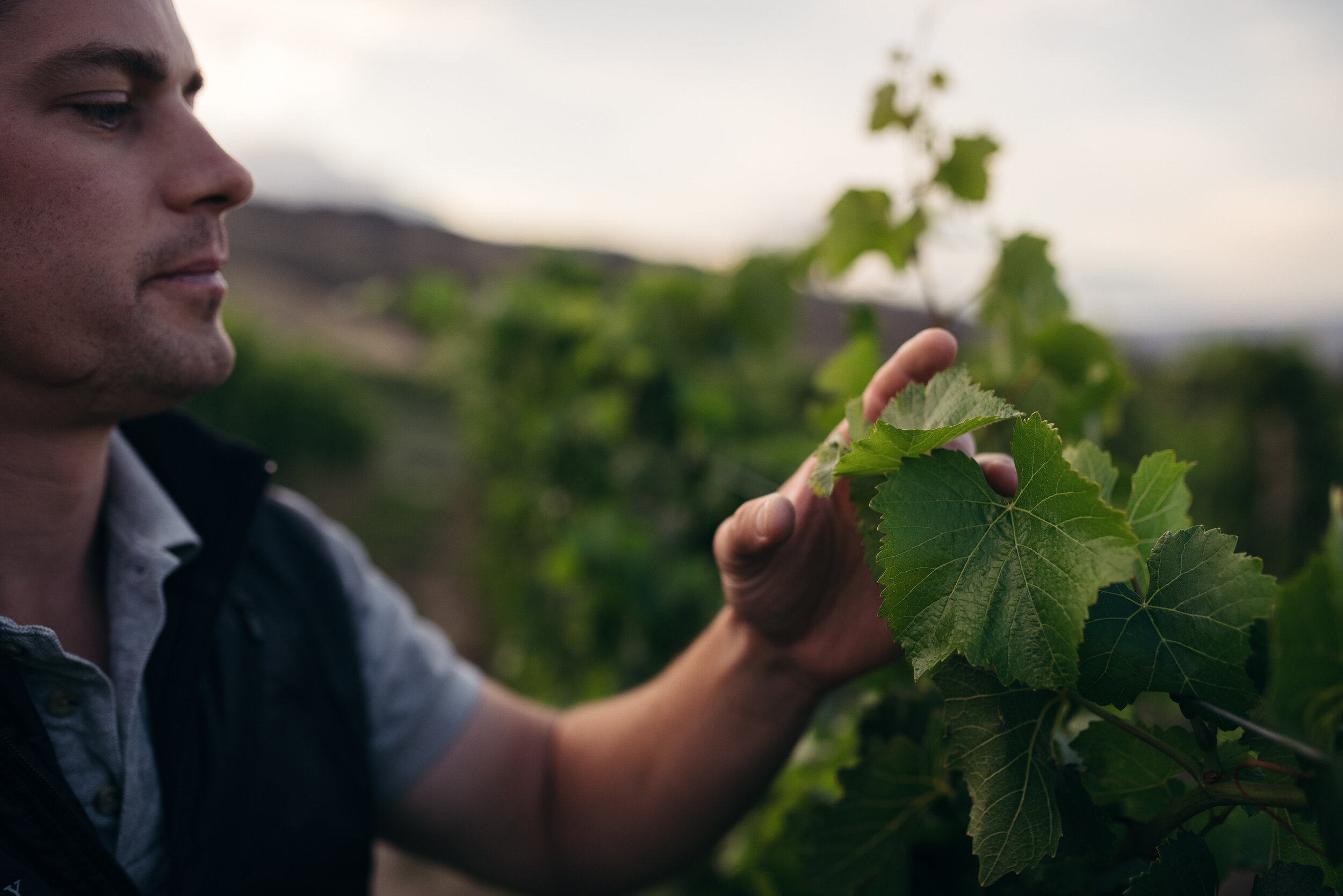 The Collective Force - Cloudy Bay