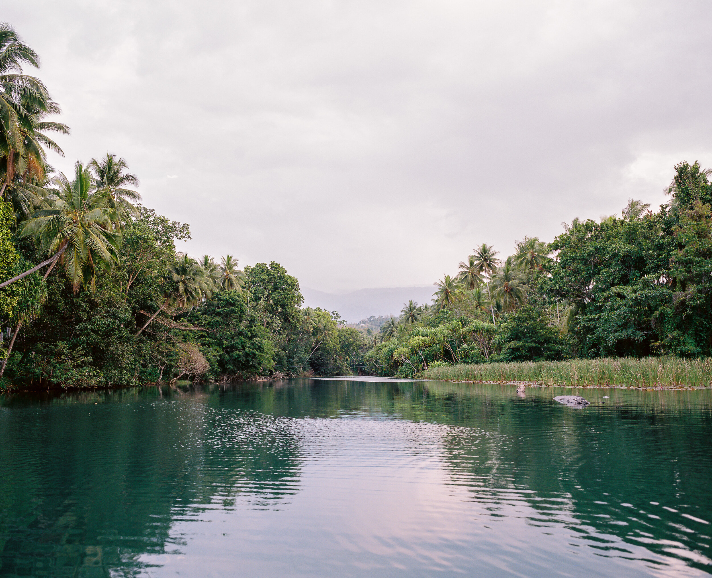 The Collective Force - Fair Trade