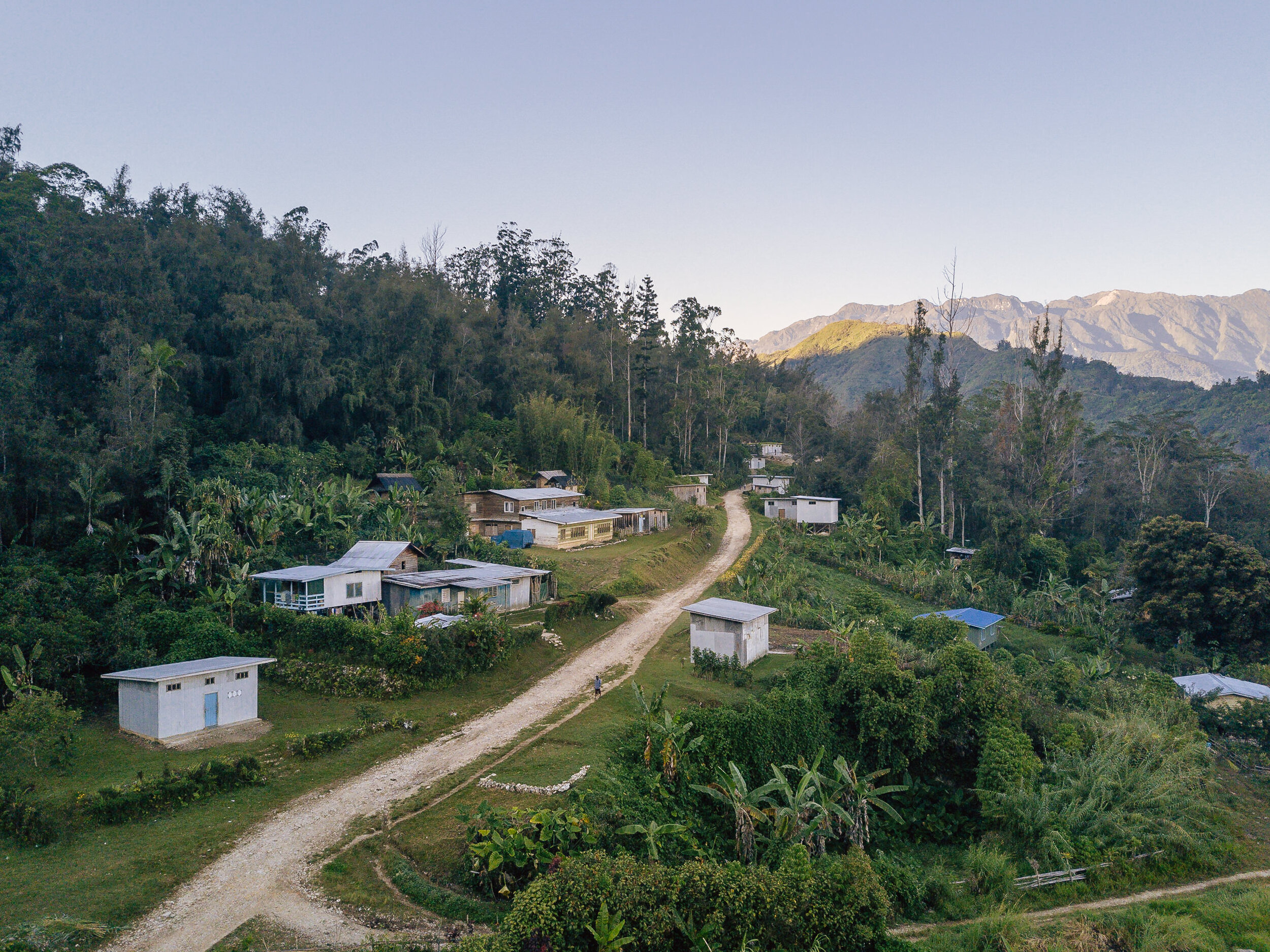 The Collective Force - Fair Trade