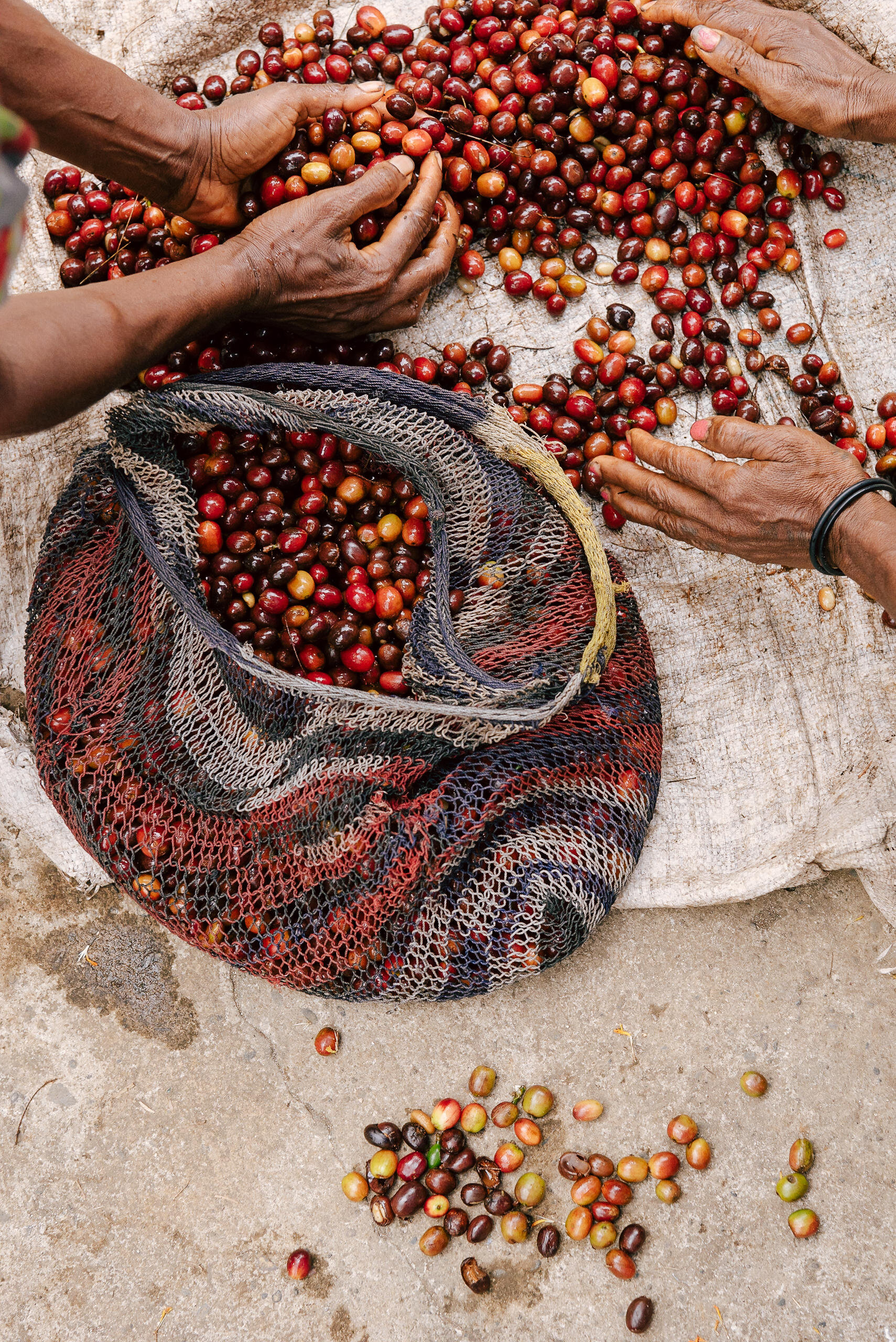 The Collective Force - Fair Trade