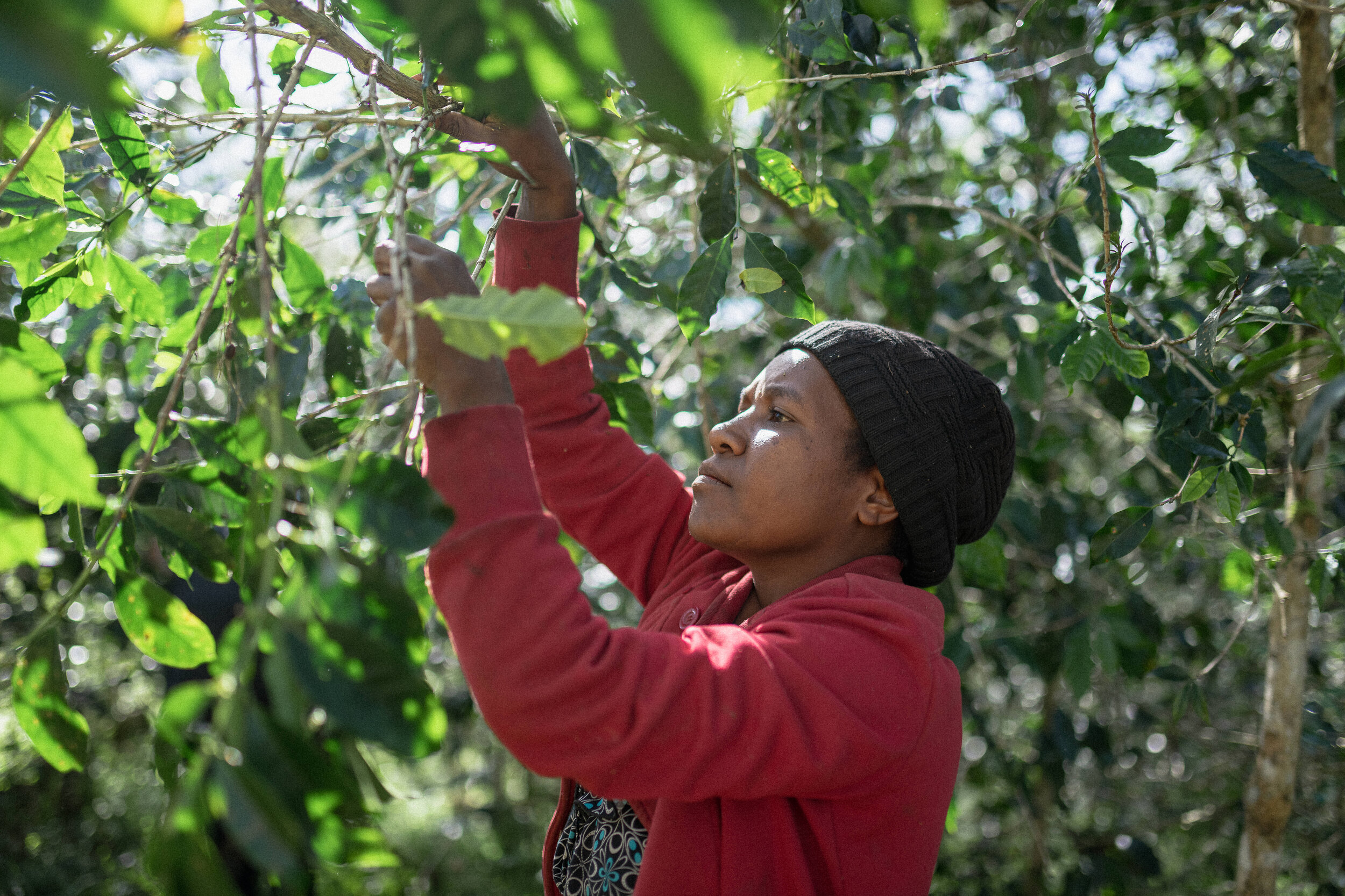 The Collective Force - Fair Trade