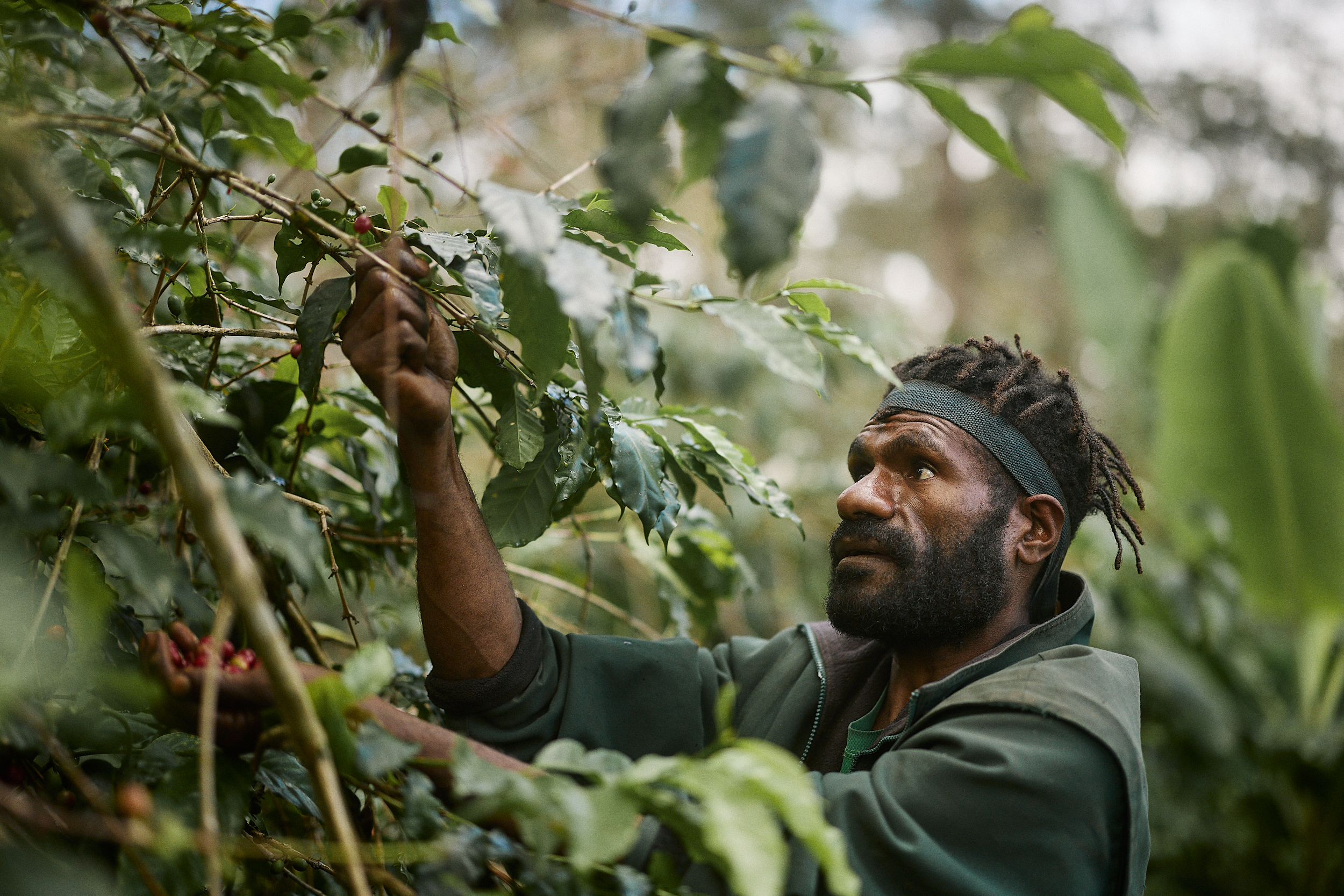 The Collective Force - Fair Trade