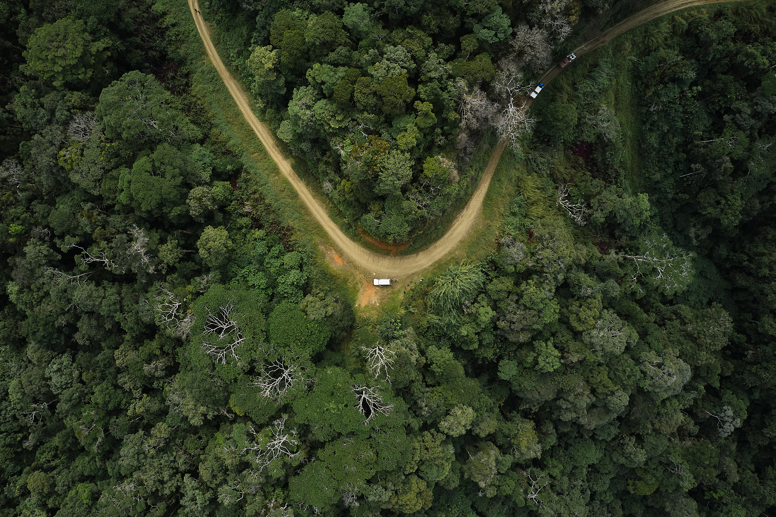 The Collective Force - Fair Trade