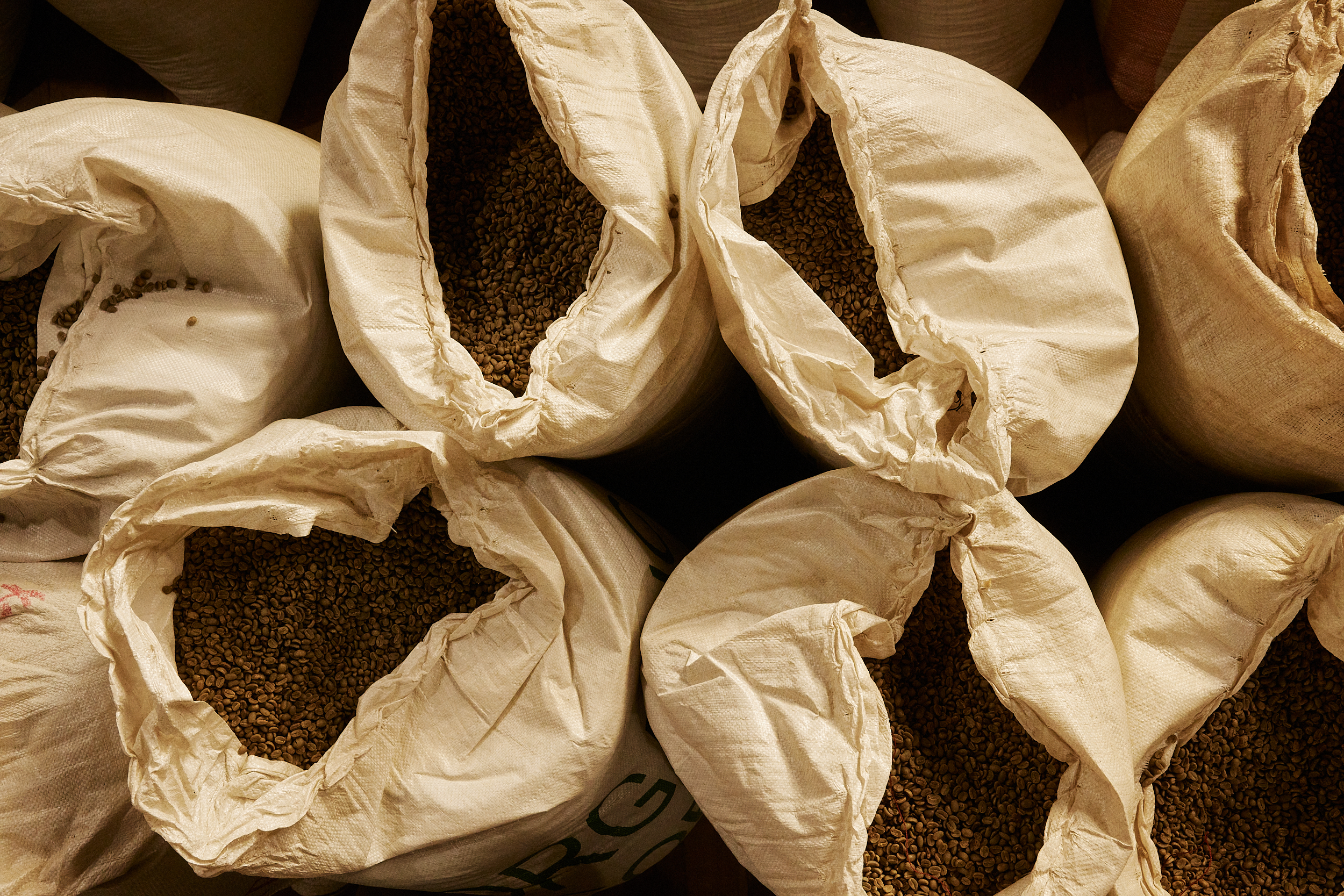 The Collective Force - Fair Trade