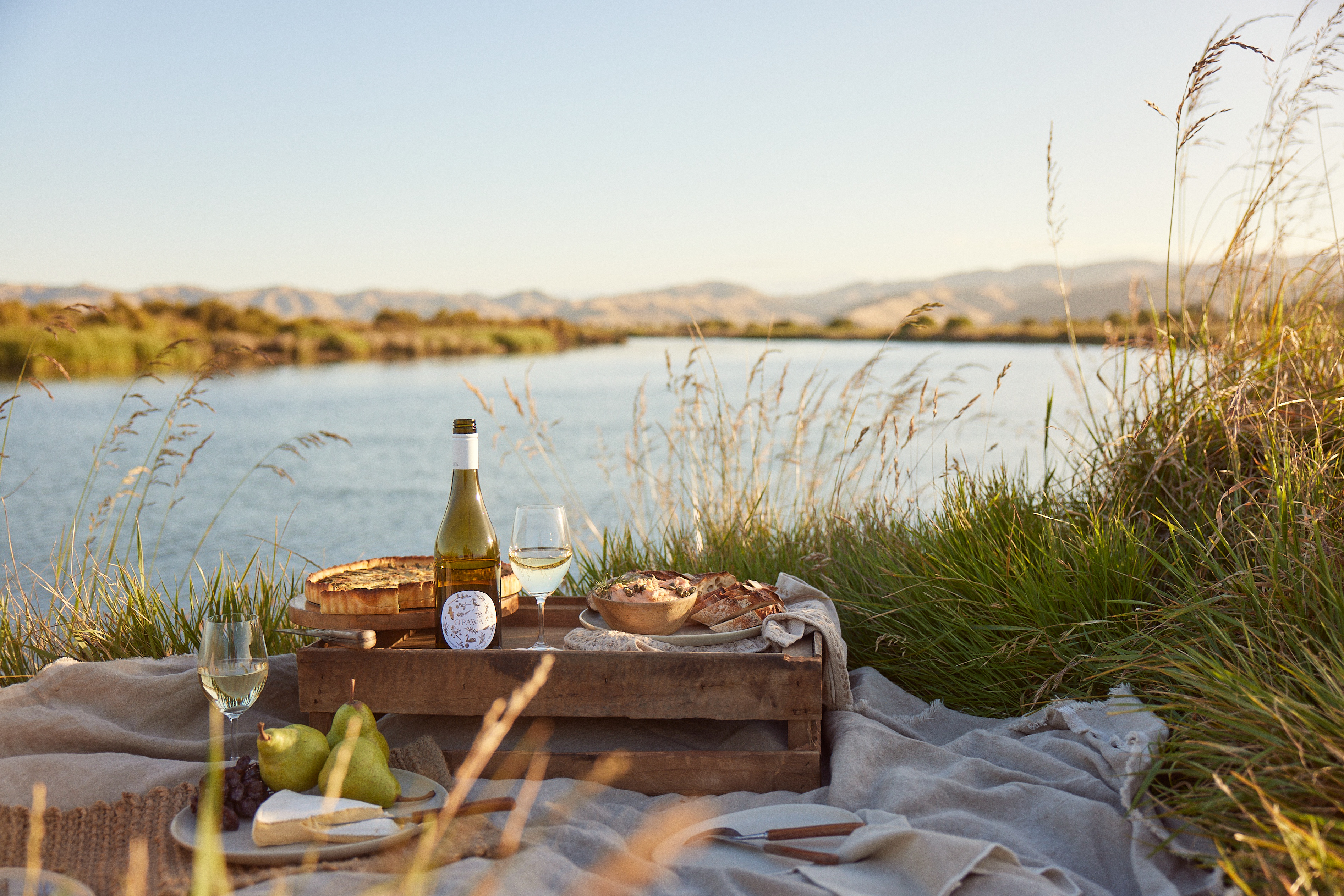 The Collective Force - Josh Griggs