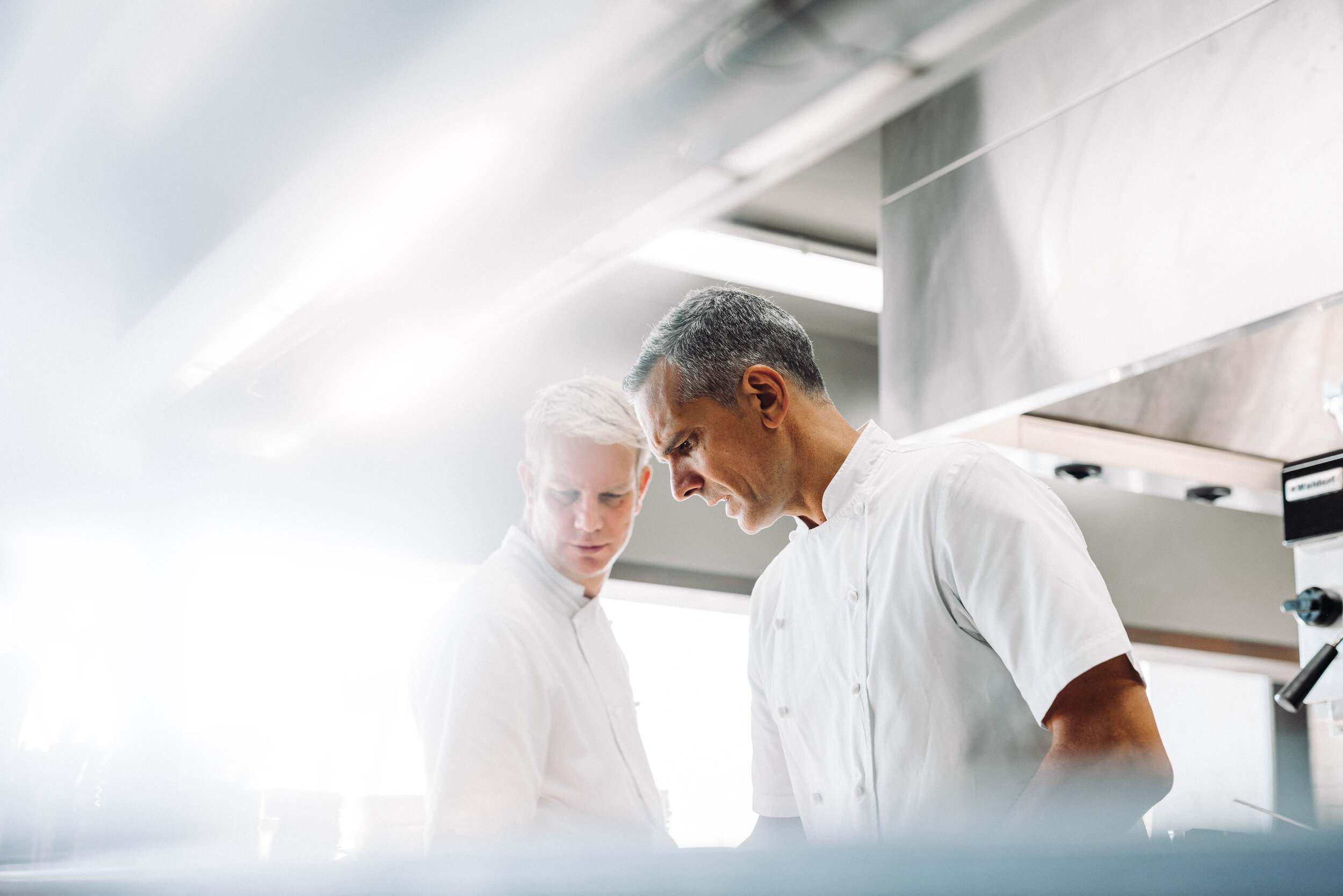 The Collective Force - Josh Griggs