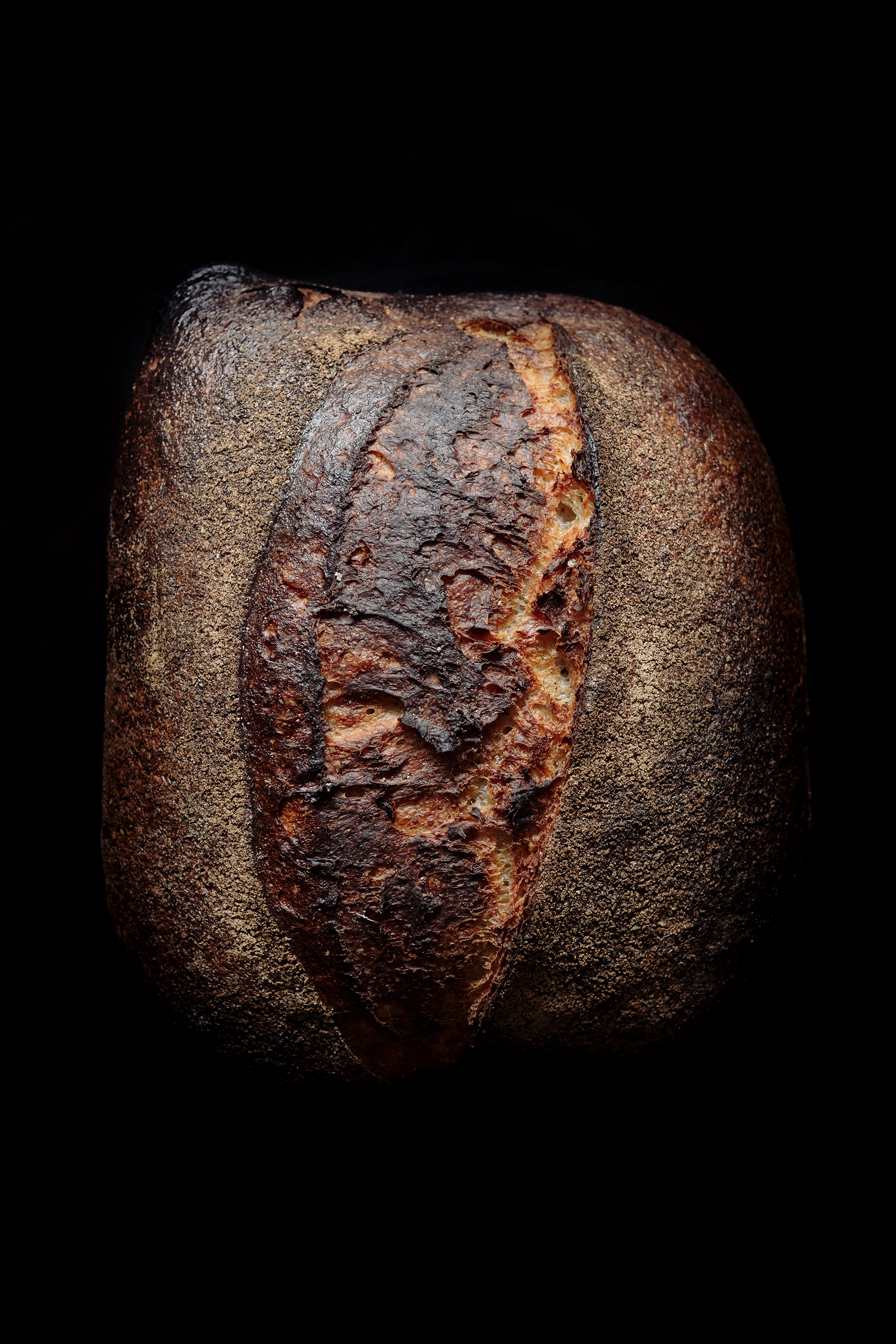 The Collective Force - Josh Griggs