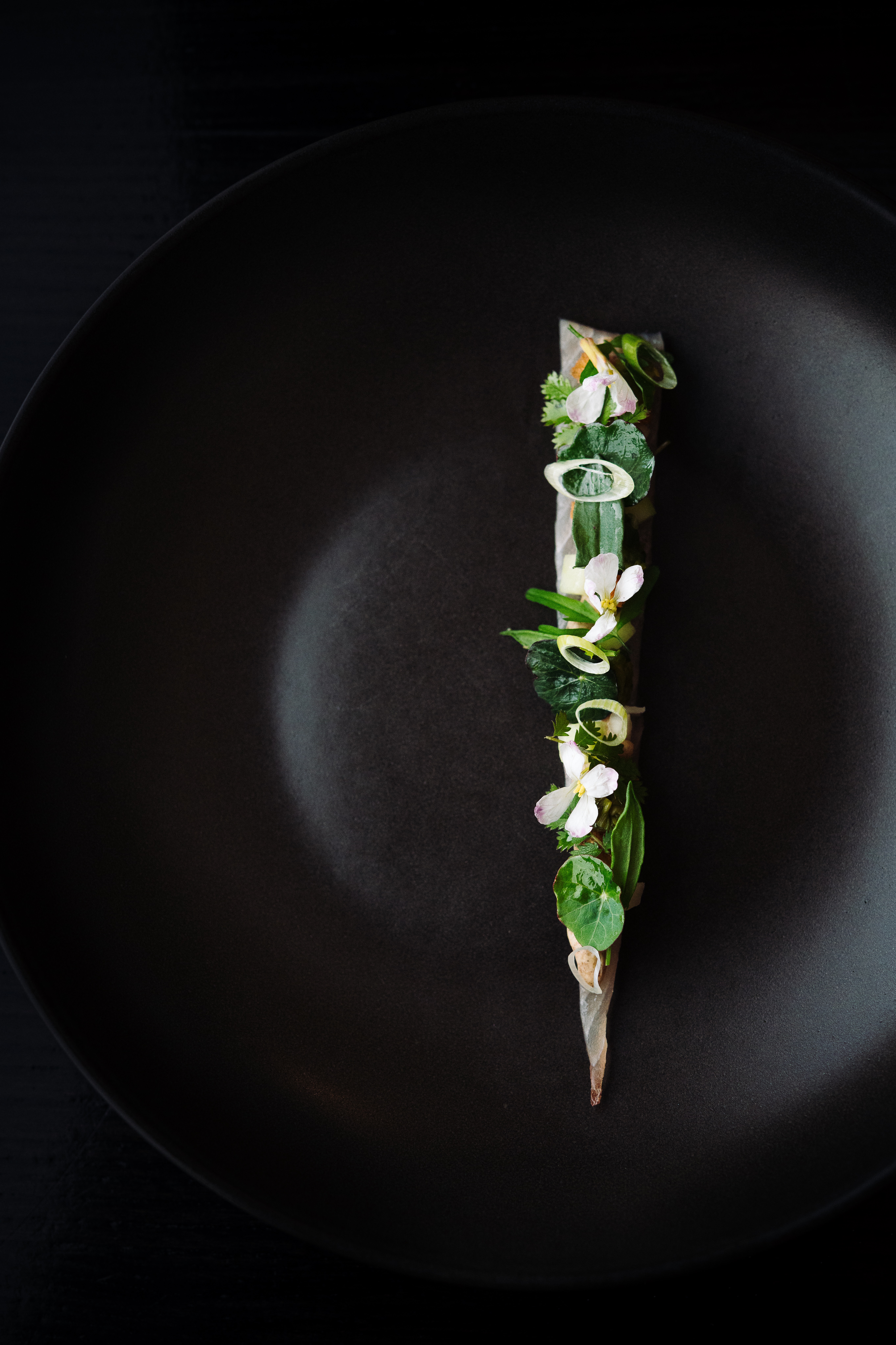 The Collective Force - Josh Griggs